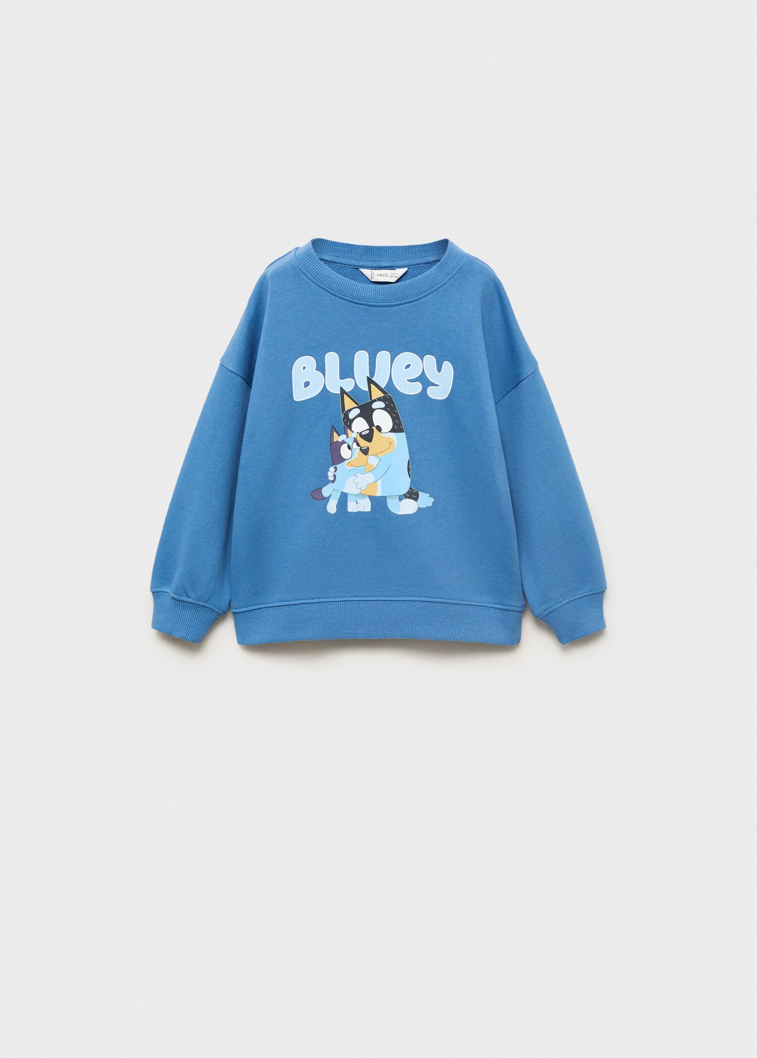 Bluey-print sweatshirt - Article without model