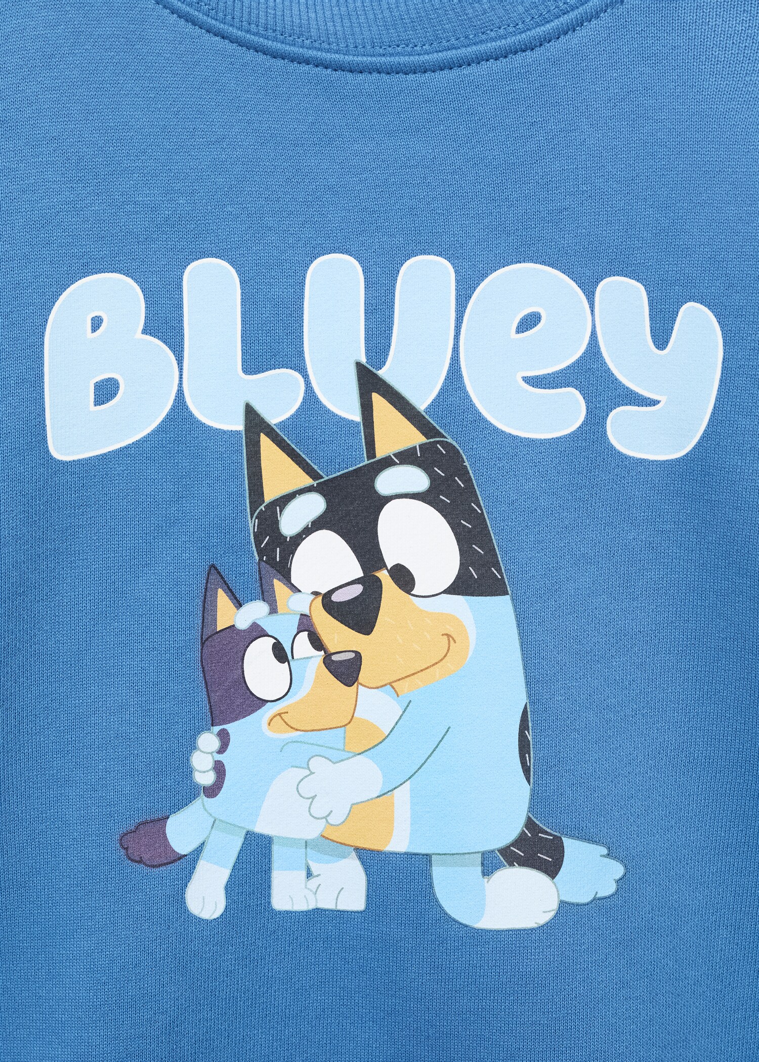 Bluey-print sweatshirt - Details of the article 8