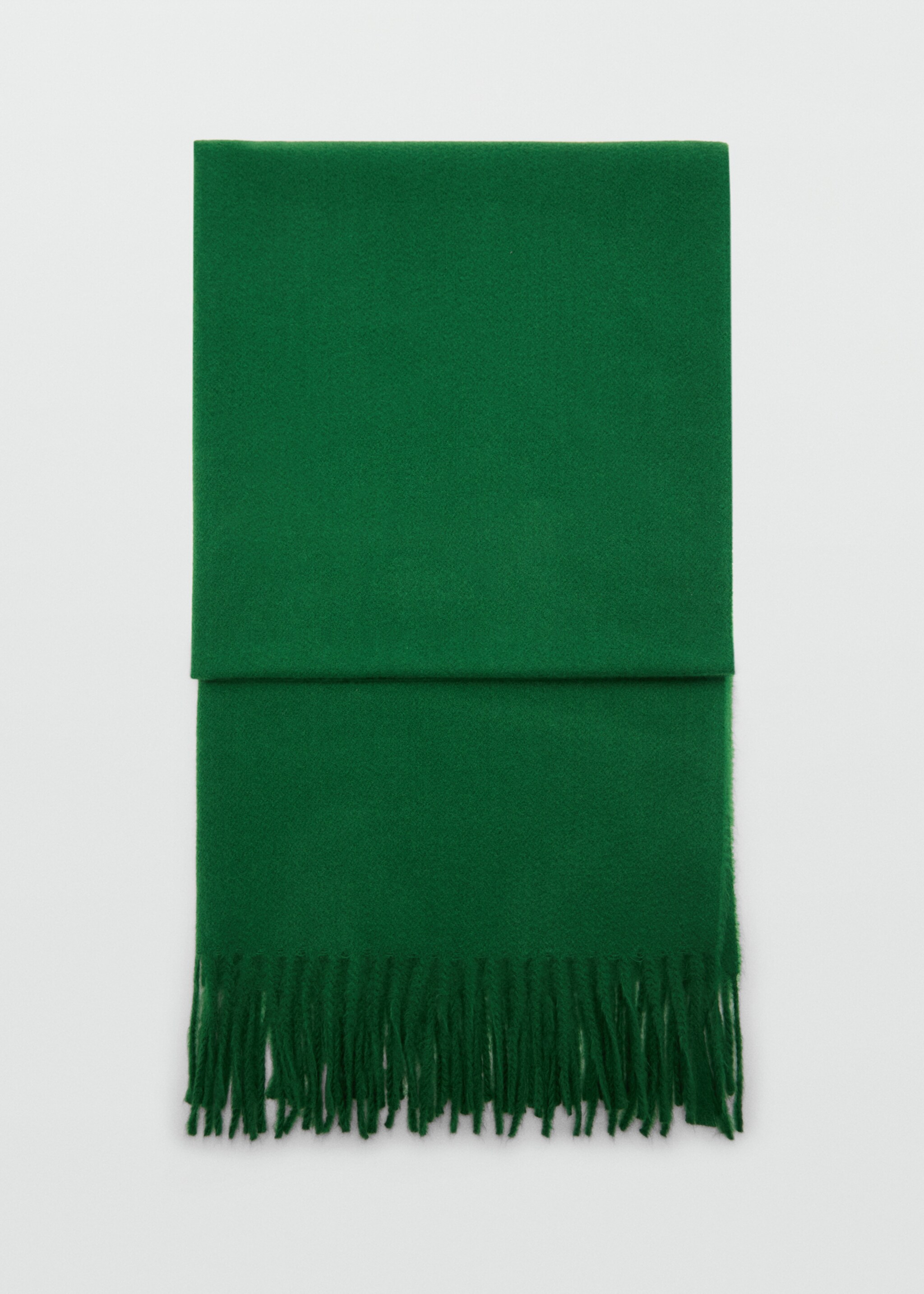 Fringed edge scarf - Article without model
