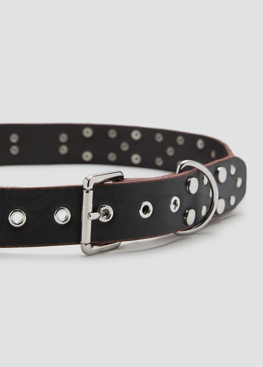 Mango Stud Leather Belt Chocolate In Black