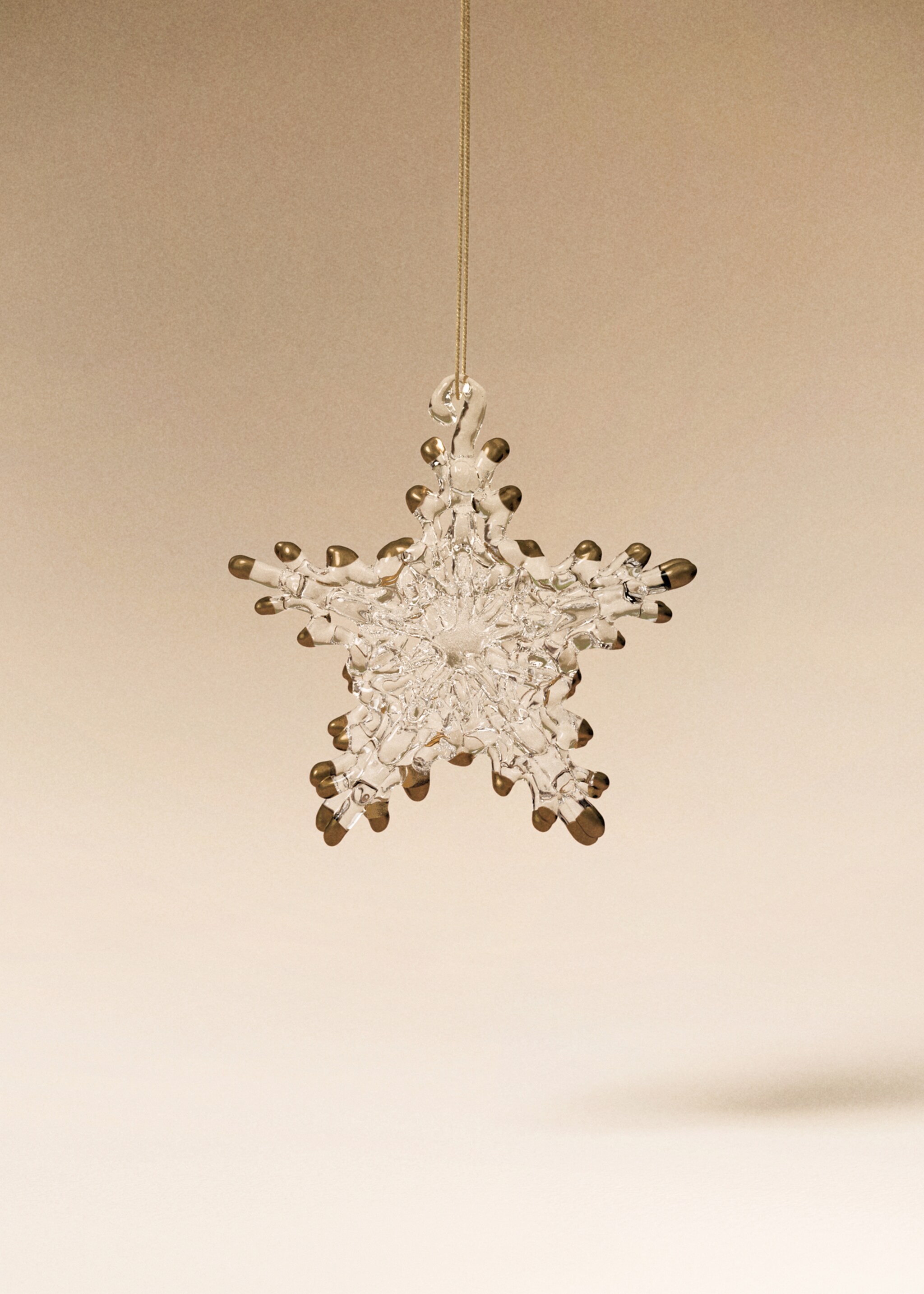 Set of borosilicate stars - General plane, Black. Ref: 17008323-00.