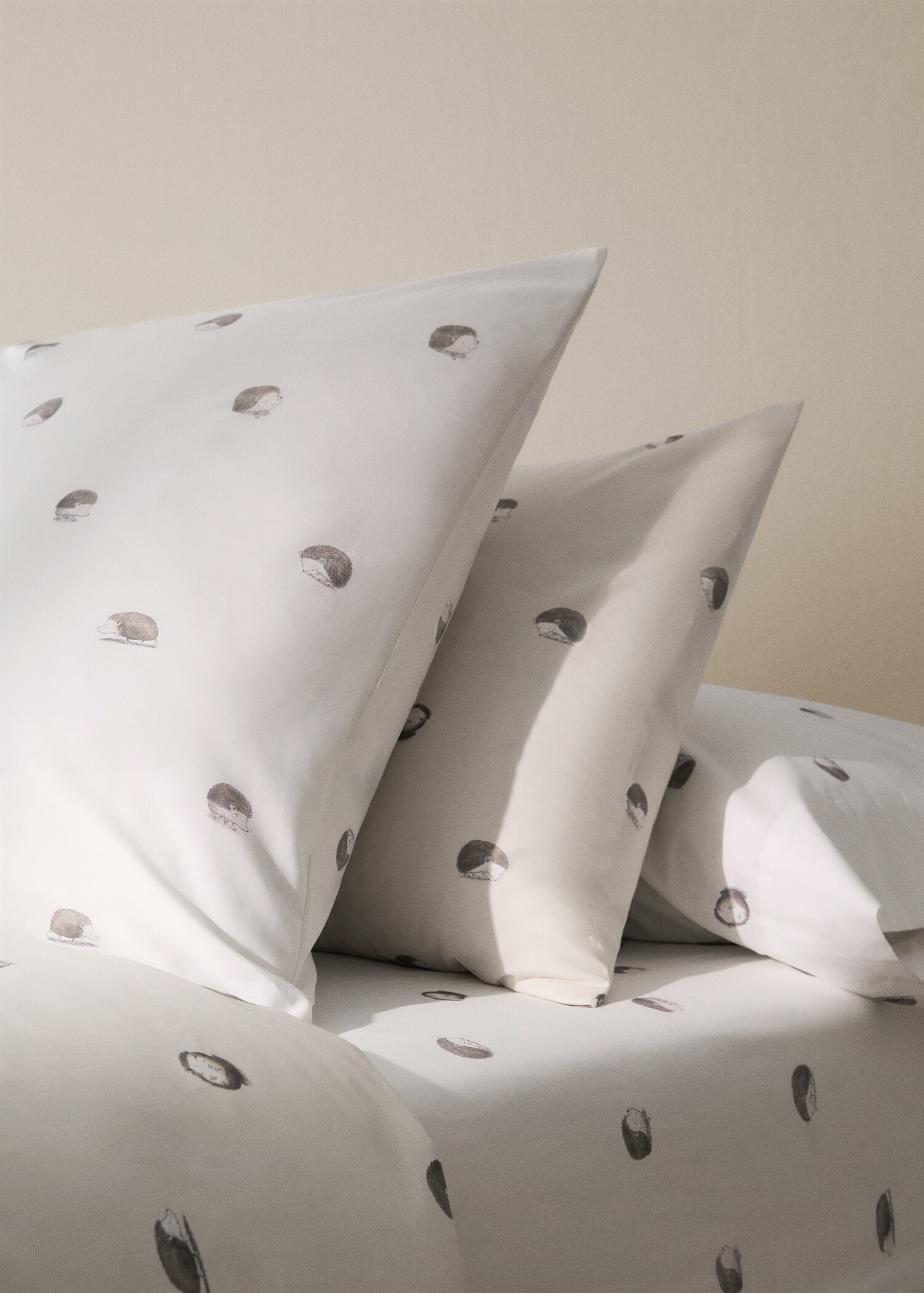 Pillow case eri - General plane