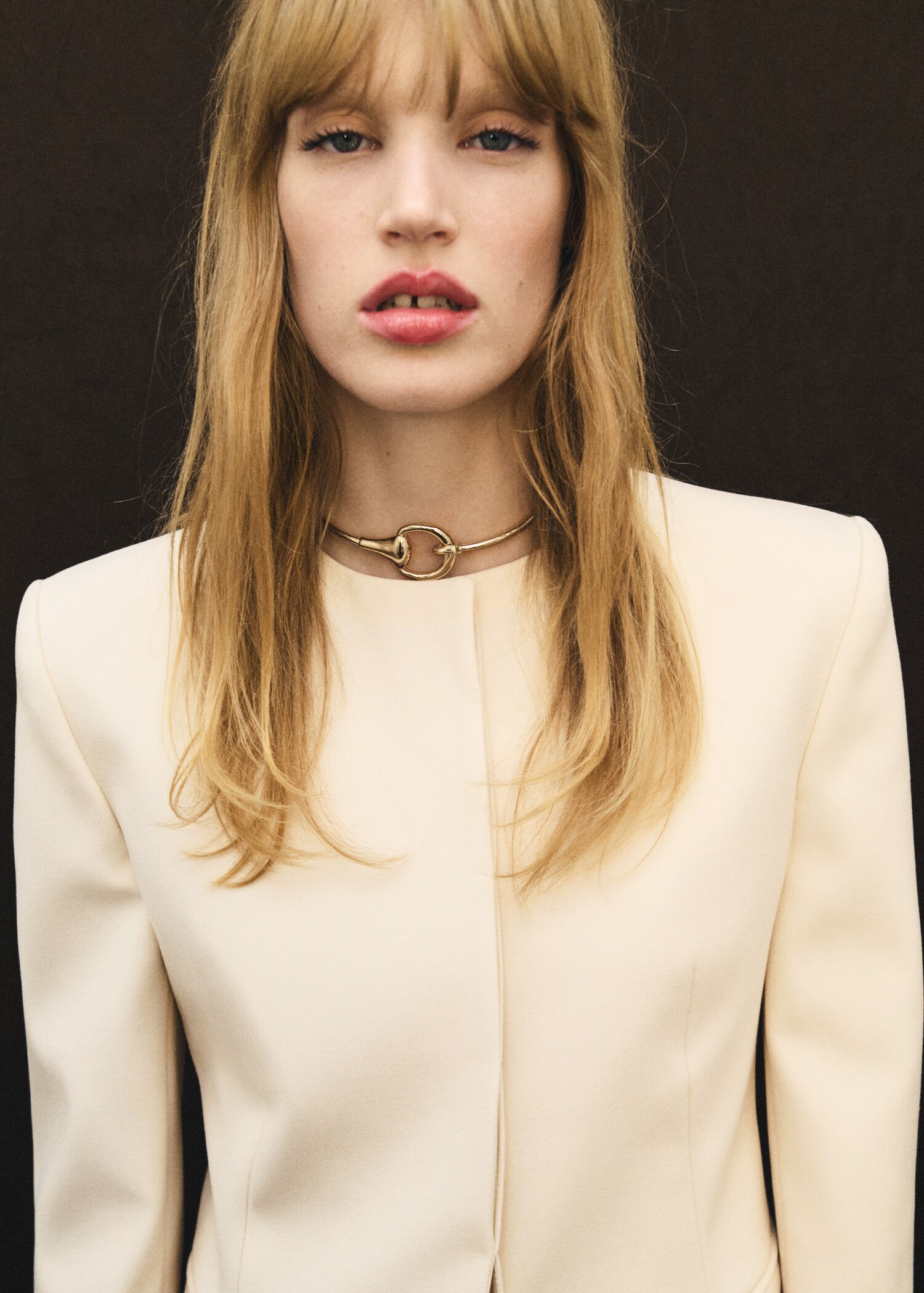 Rigid choker collar - General plane