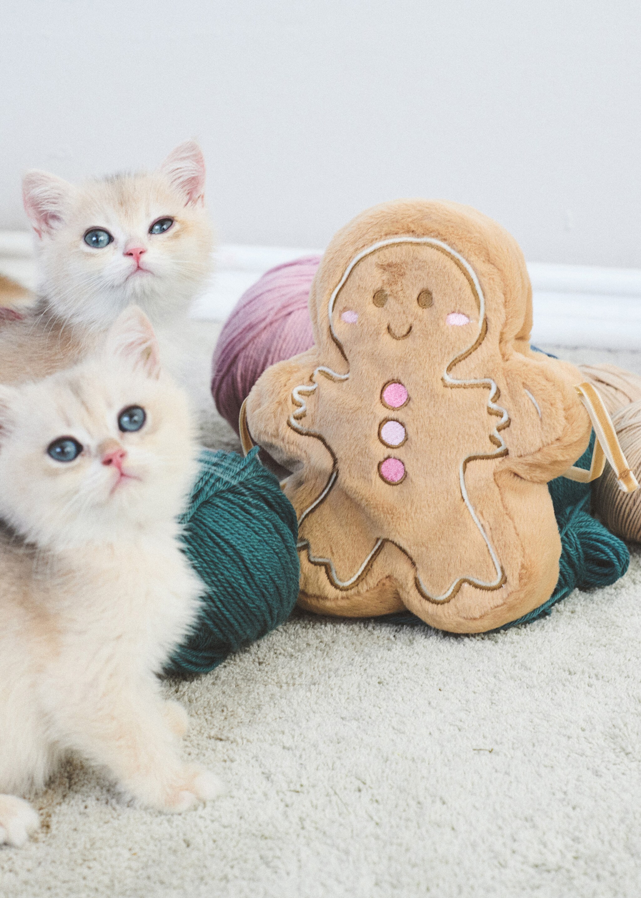 Gingerbread cookie bag - General plane, Sand. Ref: 17019209-00.
