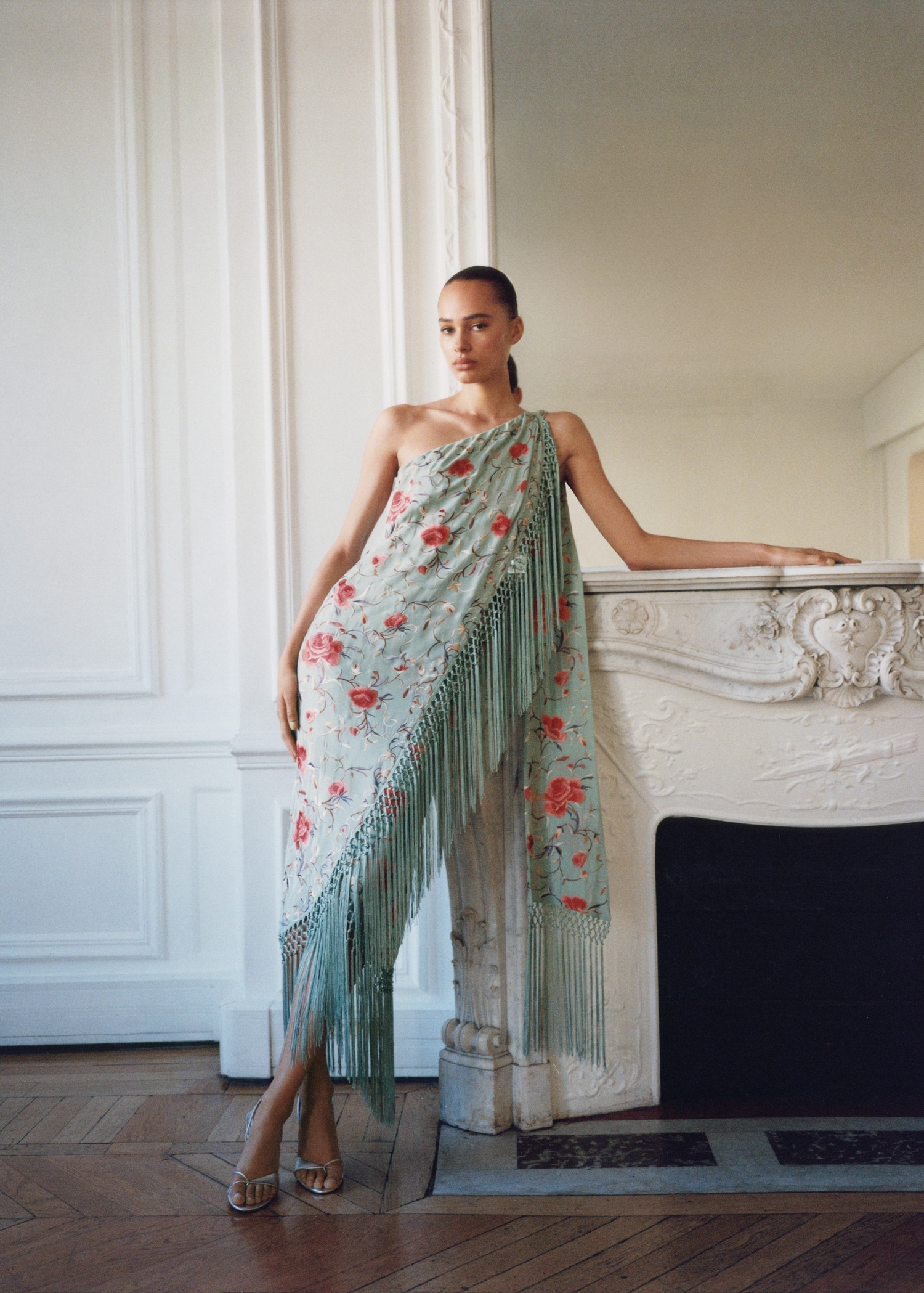 Asymmetrical dress with embroidered fringes - General plane