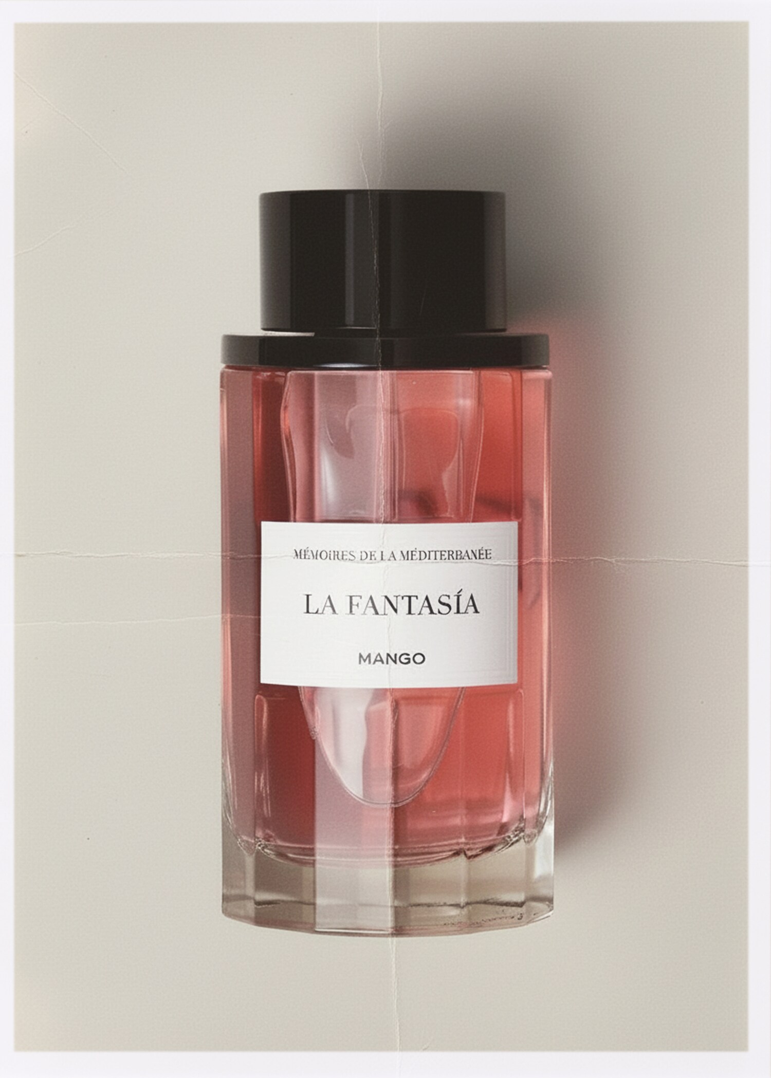 Parfum La Fantasía 100 ml - Plan général