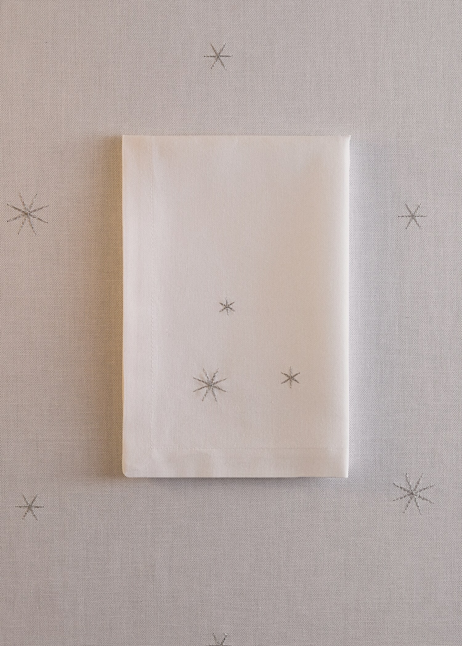 Set of 4 cotton napkins with embroidered star details - General plane