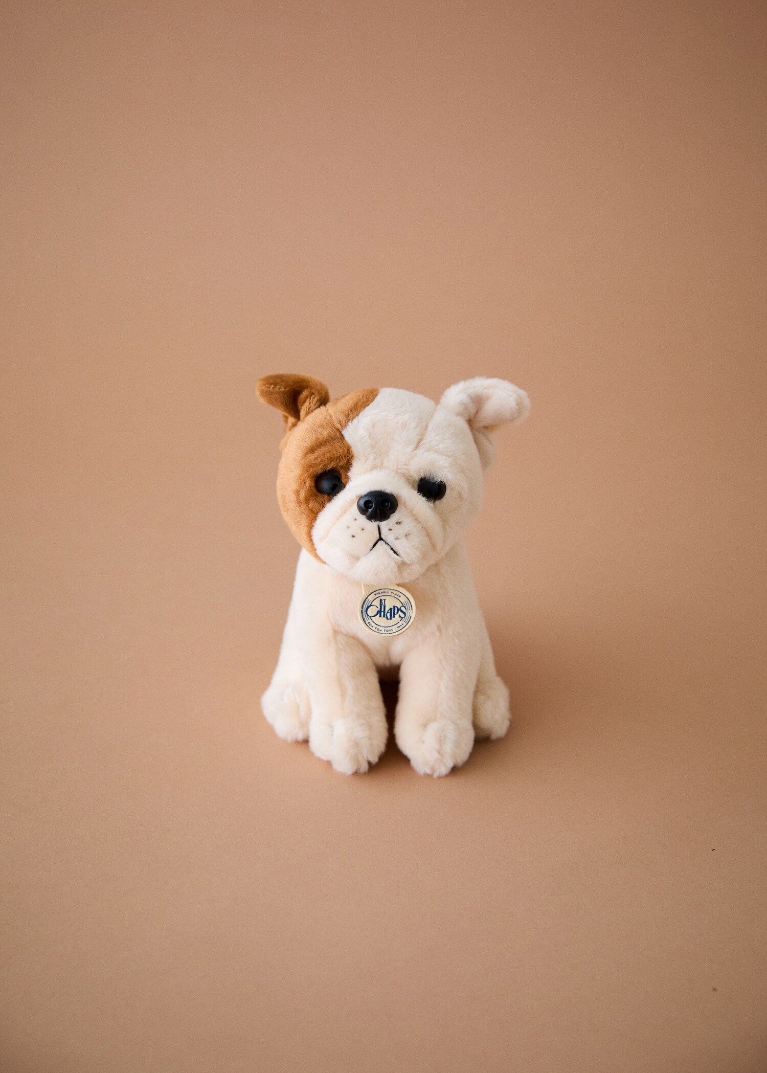 Plyšový pes Berta - Celkový náhled