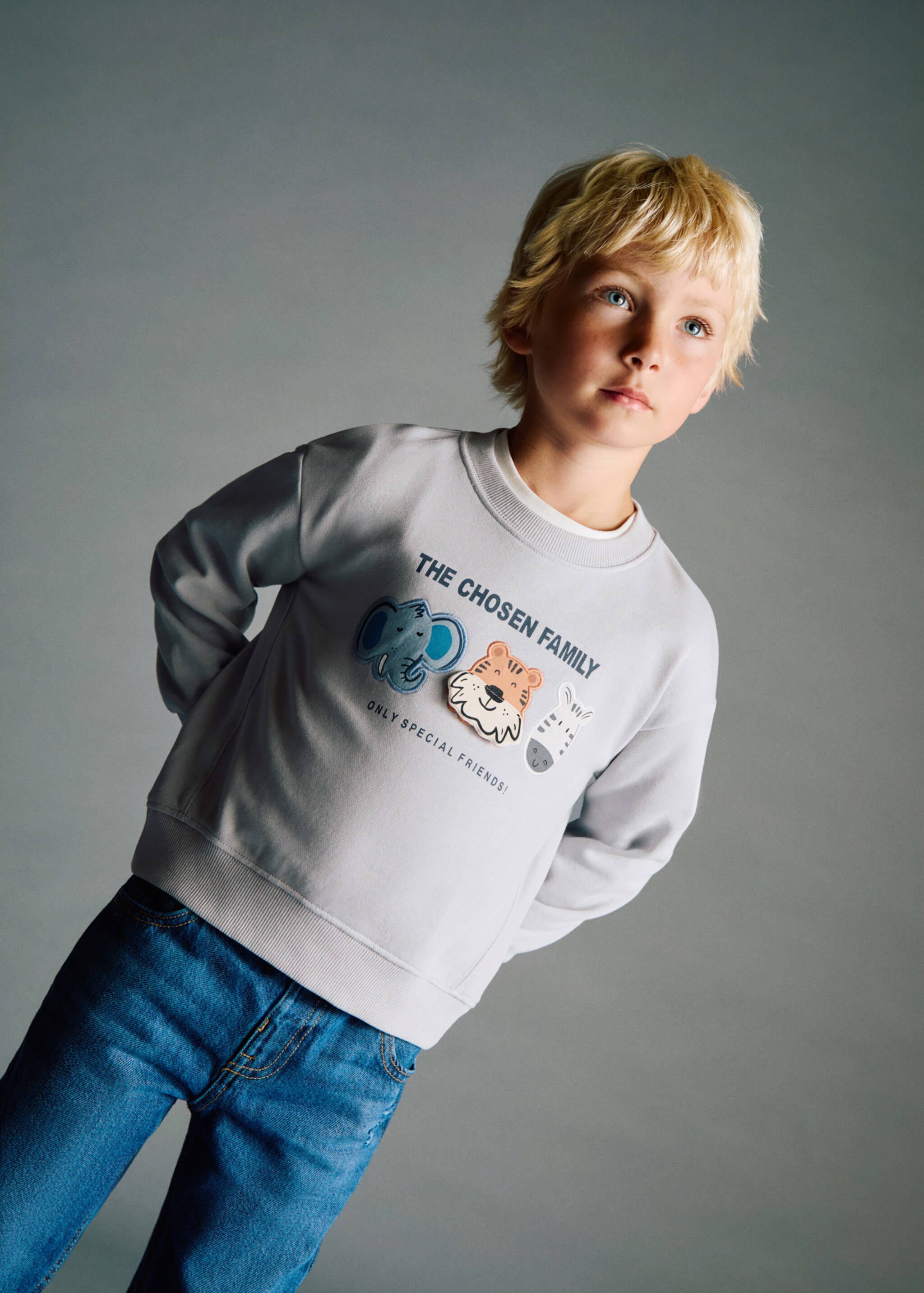Embroidered animals sweatshirt - General plane, Ice Grey. Ref: 17034429-00.
