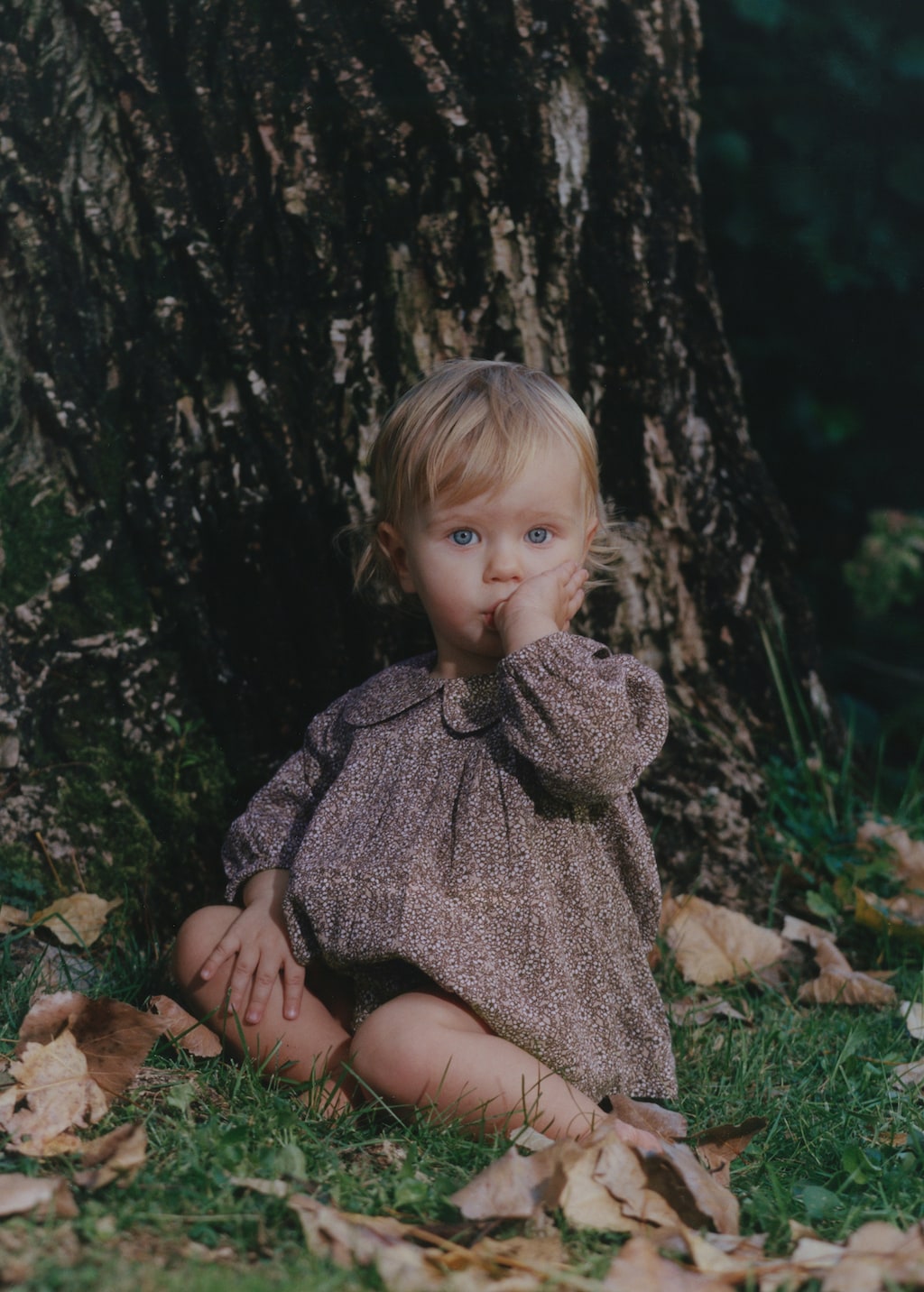 Floral dress and diaper cover