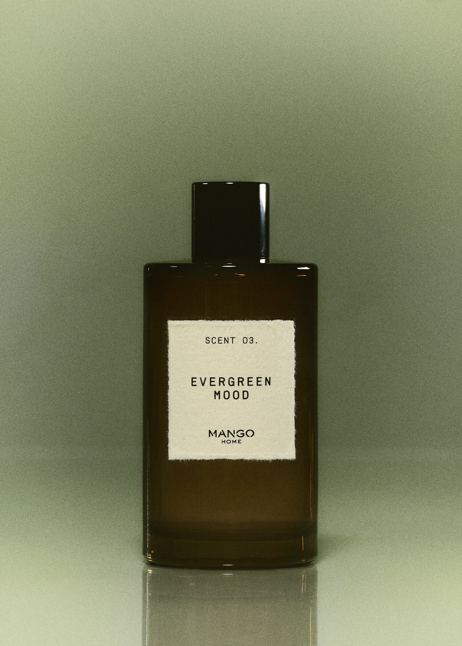 EVERGREEN MOOD home spray 200 ml - General plane