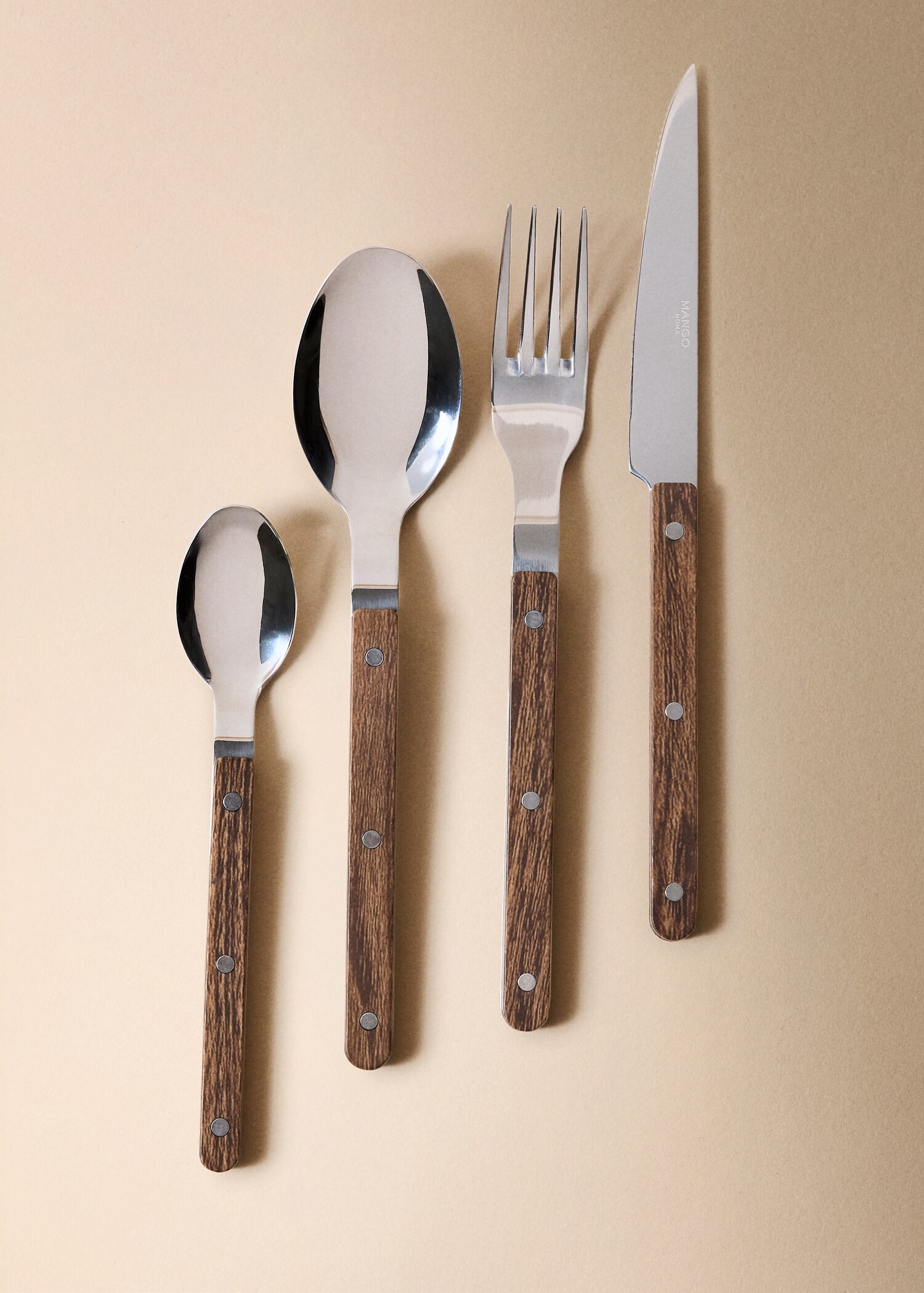 4-piece stainless steel cutlery set with resin handle - General plane