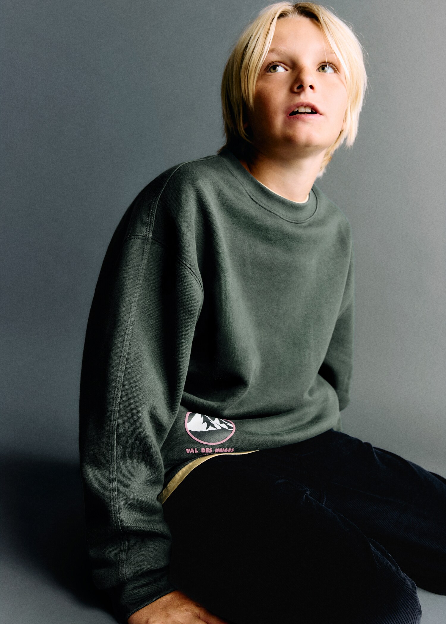 Printed cotton sweatshirt - General plane