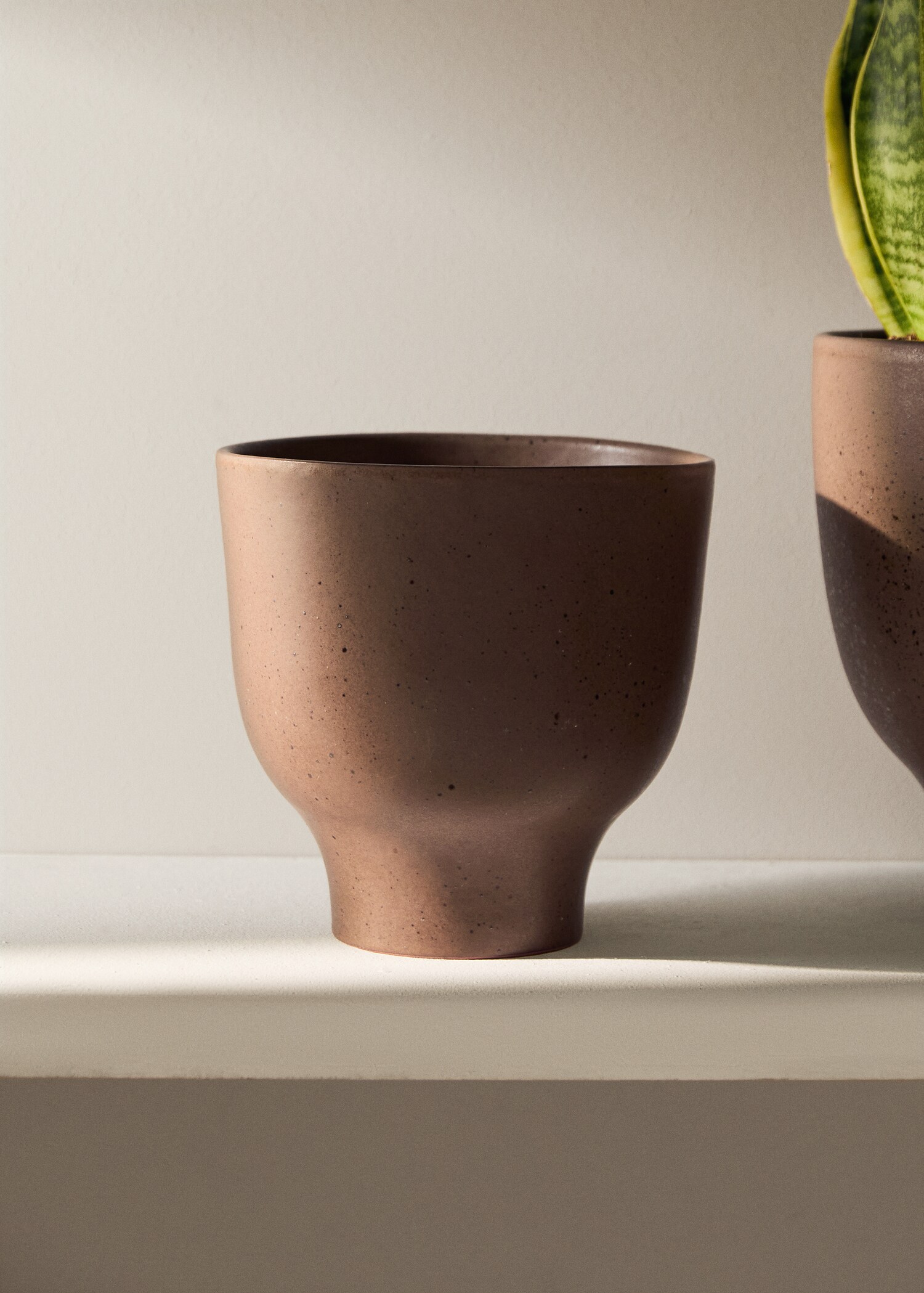 Small terracotta planter - General plane