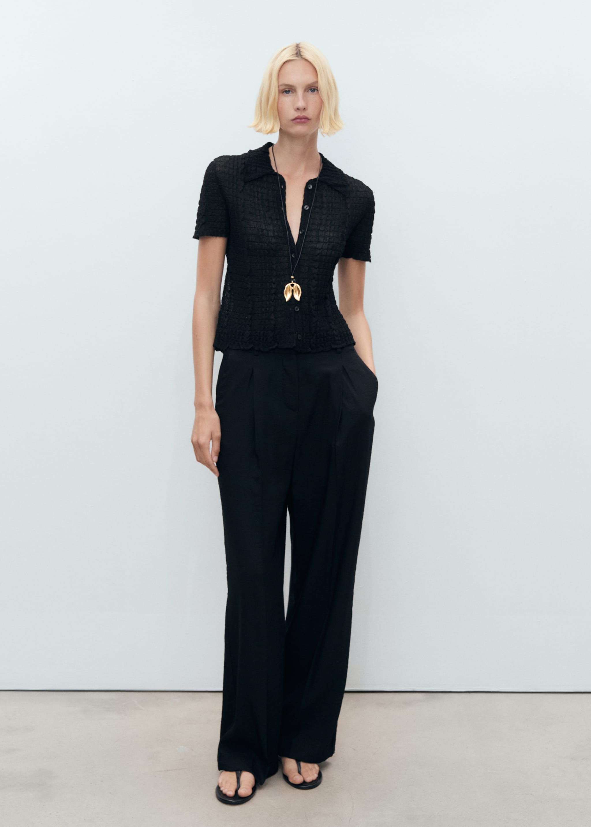 Wide-leg pleated trousers - General plane