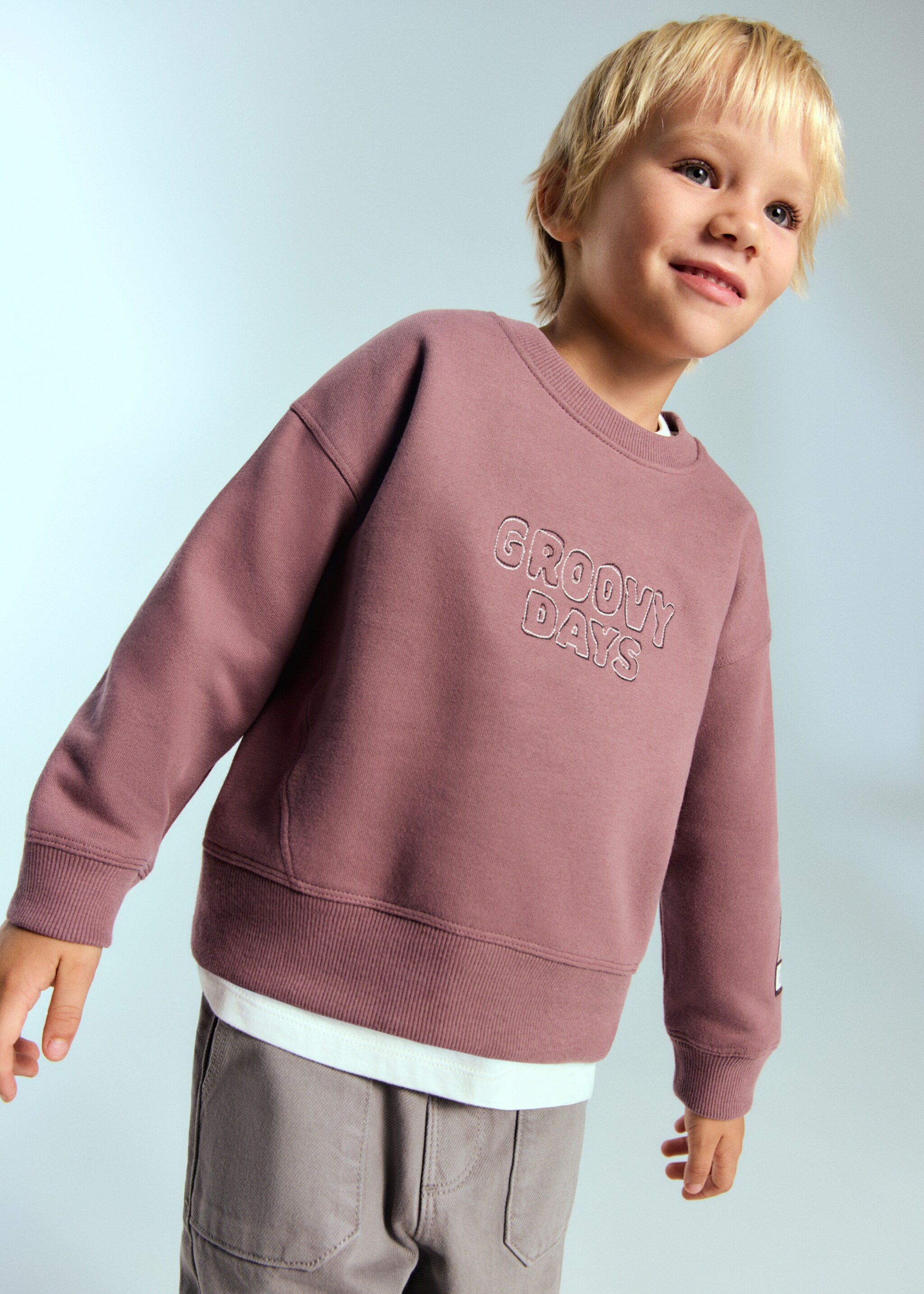 Embroidered cotton sweatshirt - General plane, Cherry. Ref: 17076727-00.