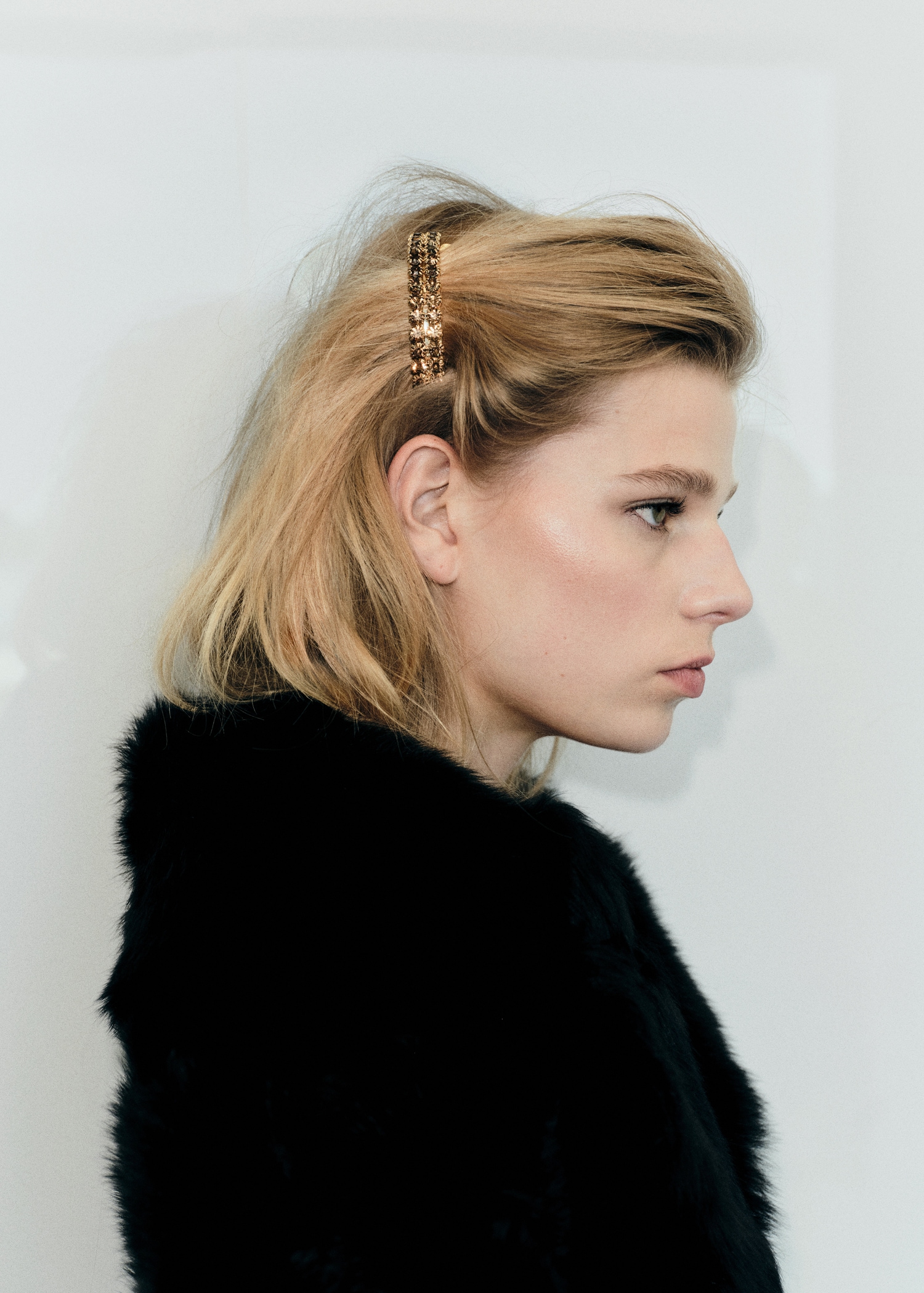 Crystal hair barrette - General plane