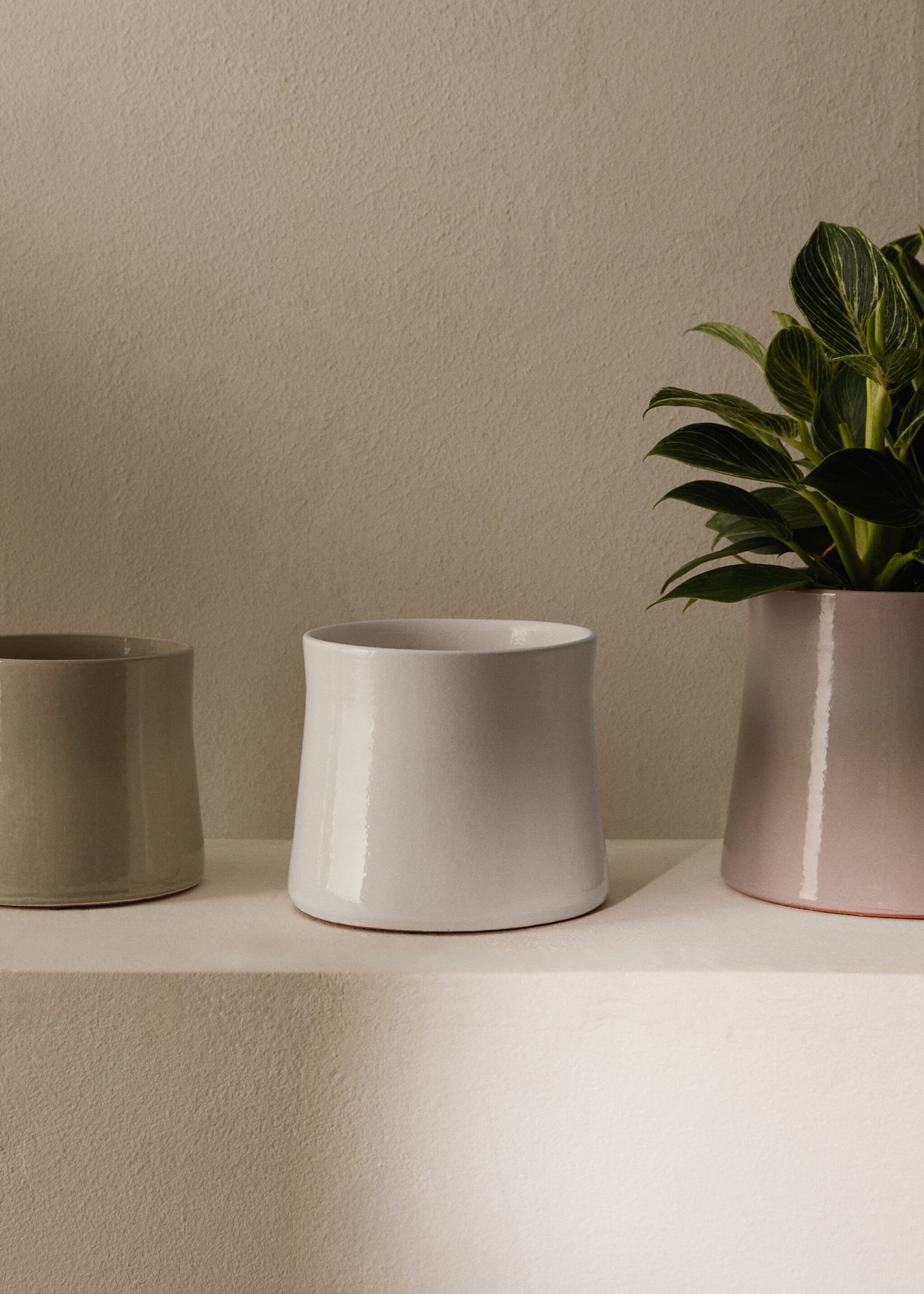 Medium terracotta planter - General plane