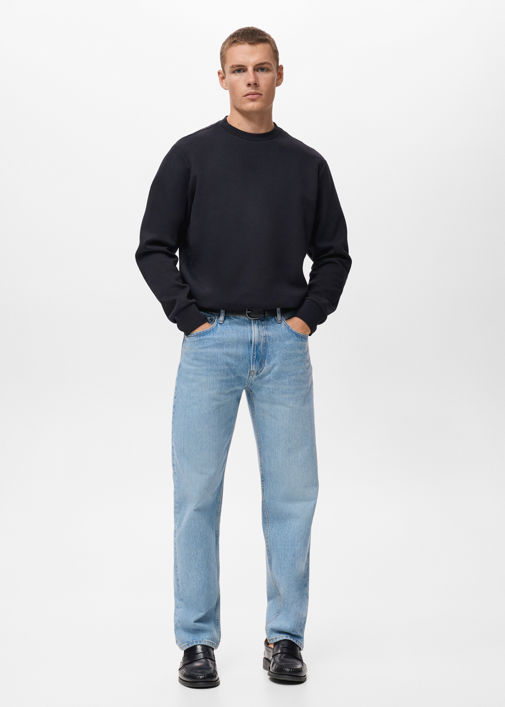 Regular-fit cotton sweatshirt - General plane