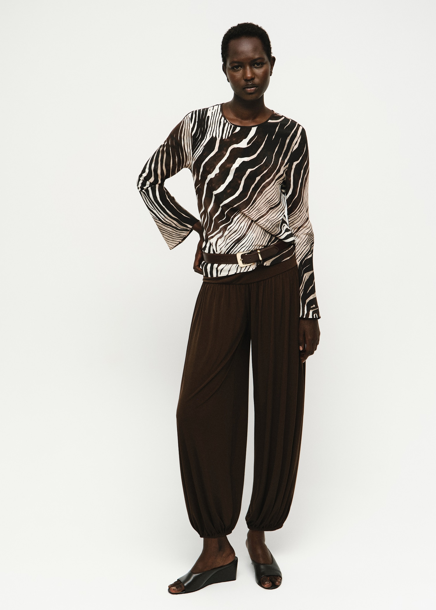 Zebra print blouse - Обща равнина