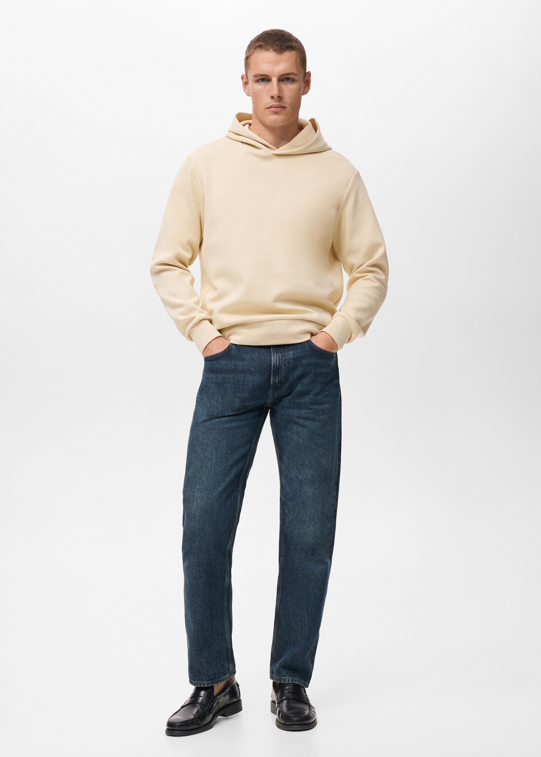 Regular-fit hoodie - General plane