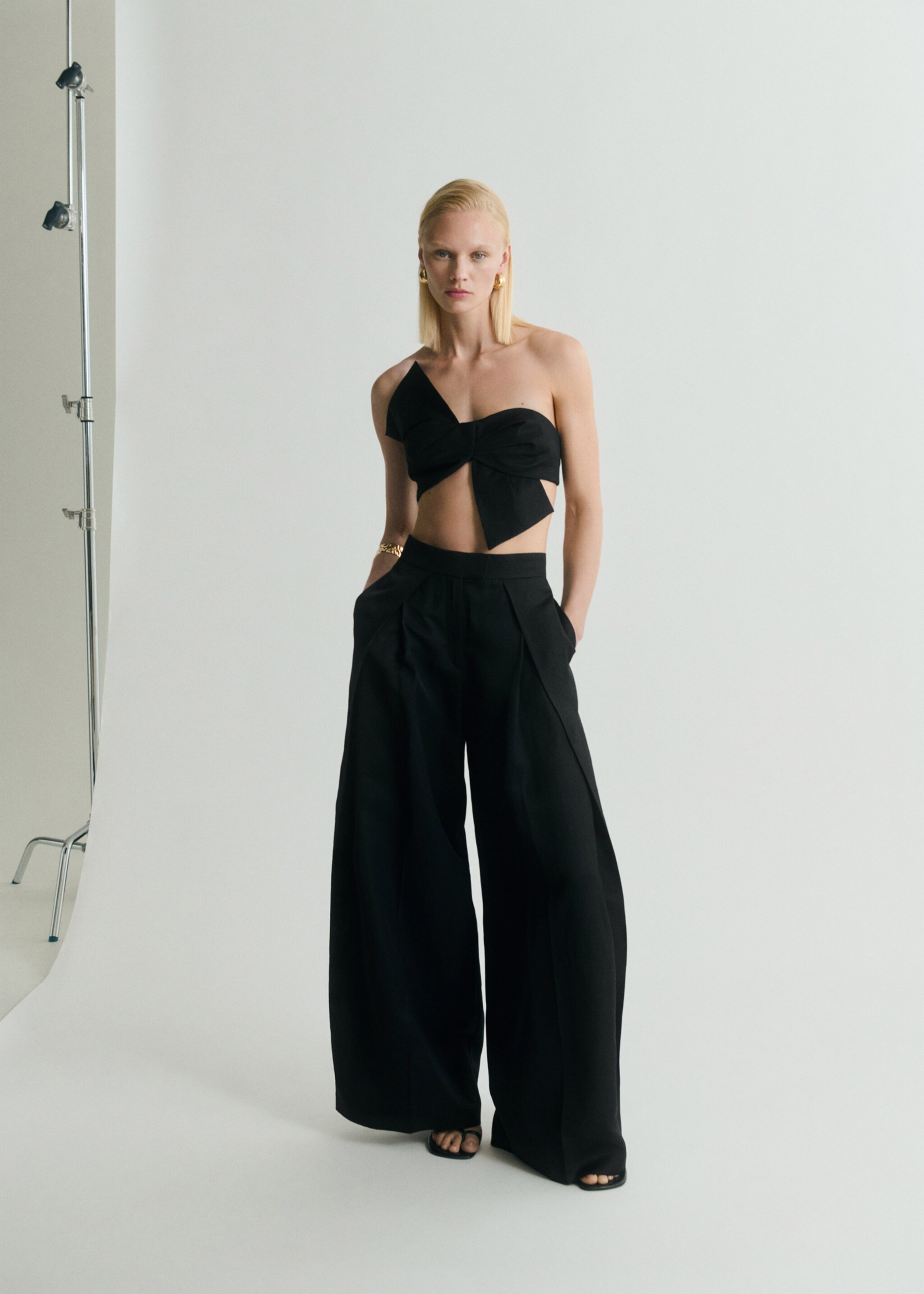 Wideleg pleated trousers - General plane
