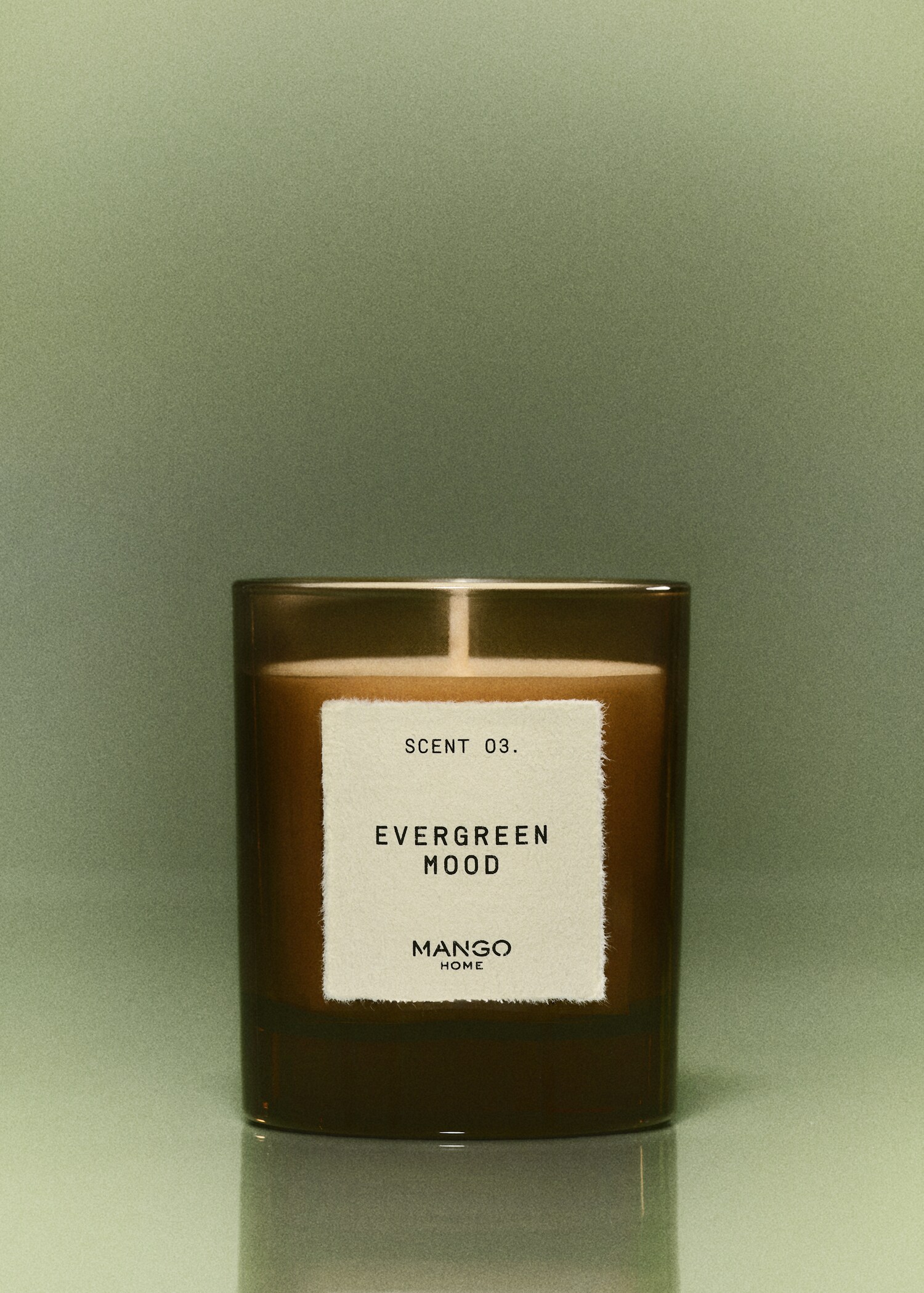 EVERGREEN MOOD aromatic candle 200 gr - General plane