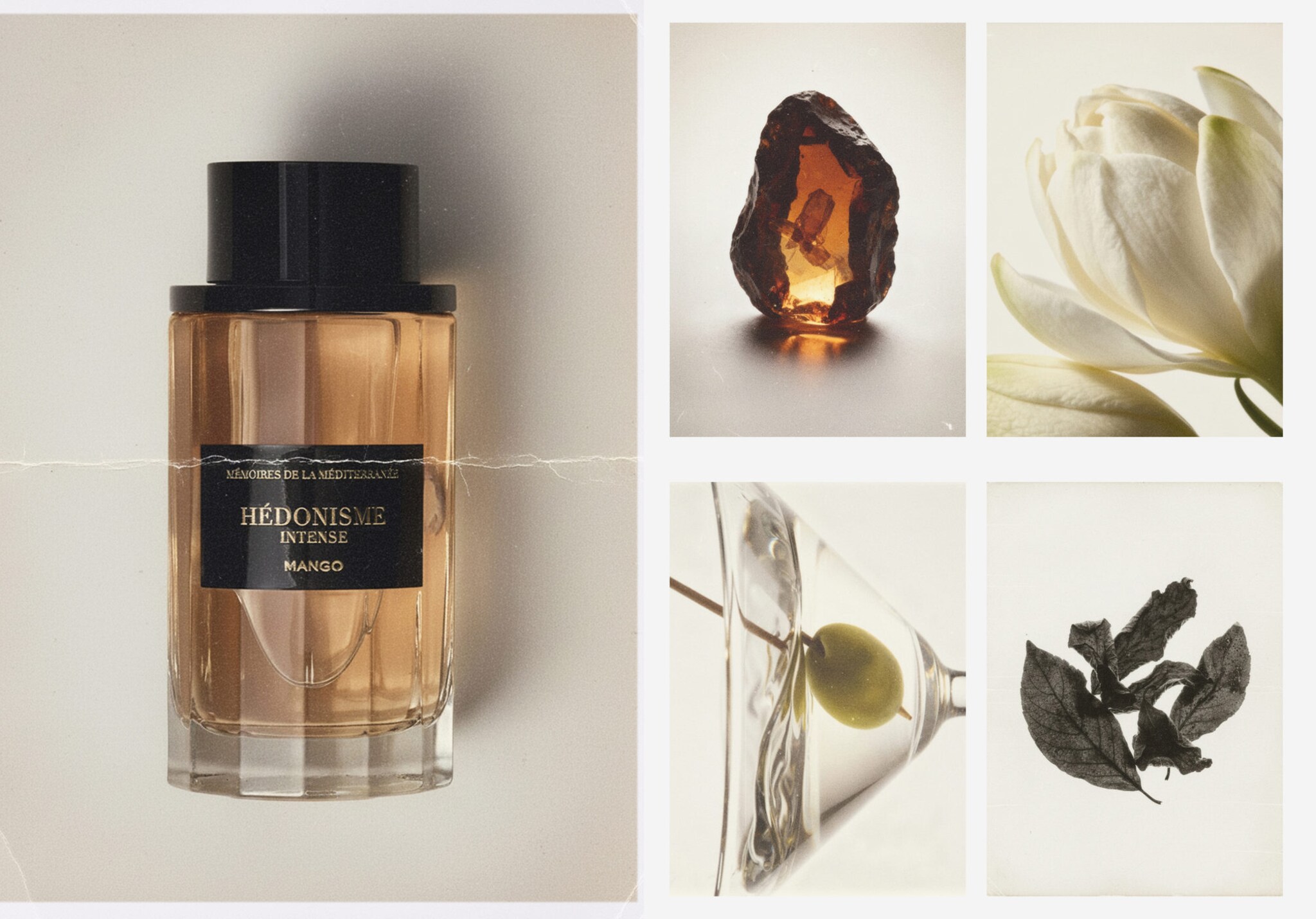 Hédonisme intense fragrance 100 ml - Panoramic plane