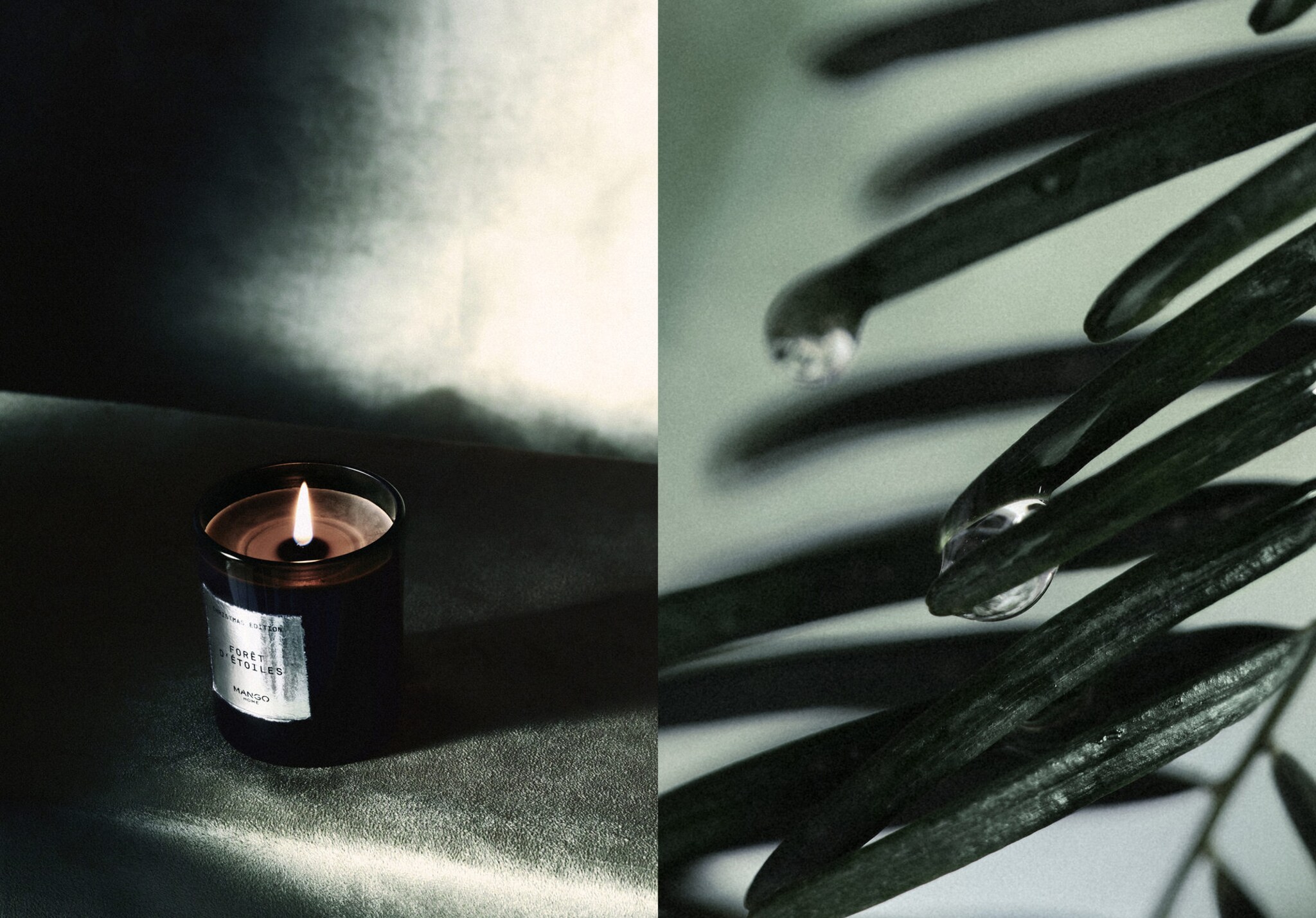 Foret d'Étoiles aromatic candle 200g - Panoramic plane