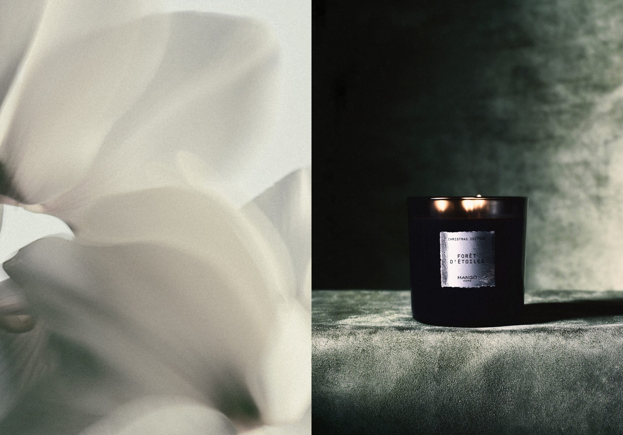 Foret d'Étoiles aromatic candle 500g - Panoramic plane