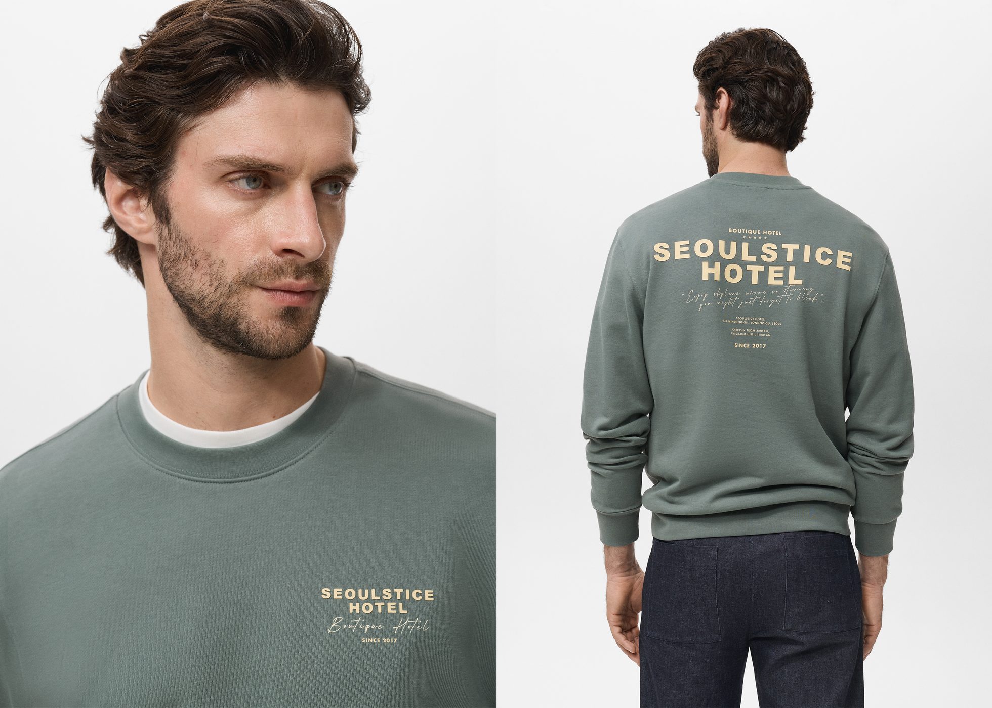Printed cotton sweatshirt - Panoramic plane