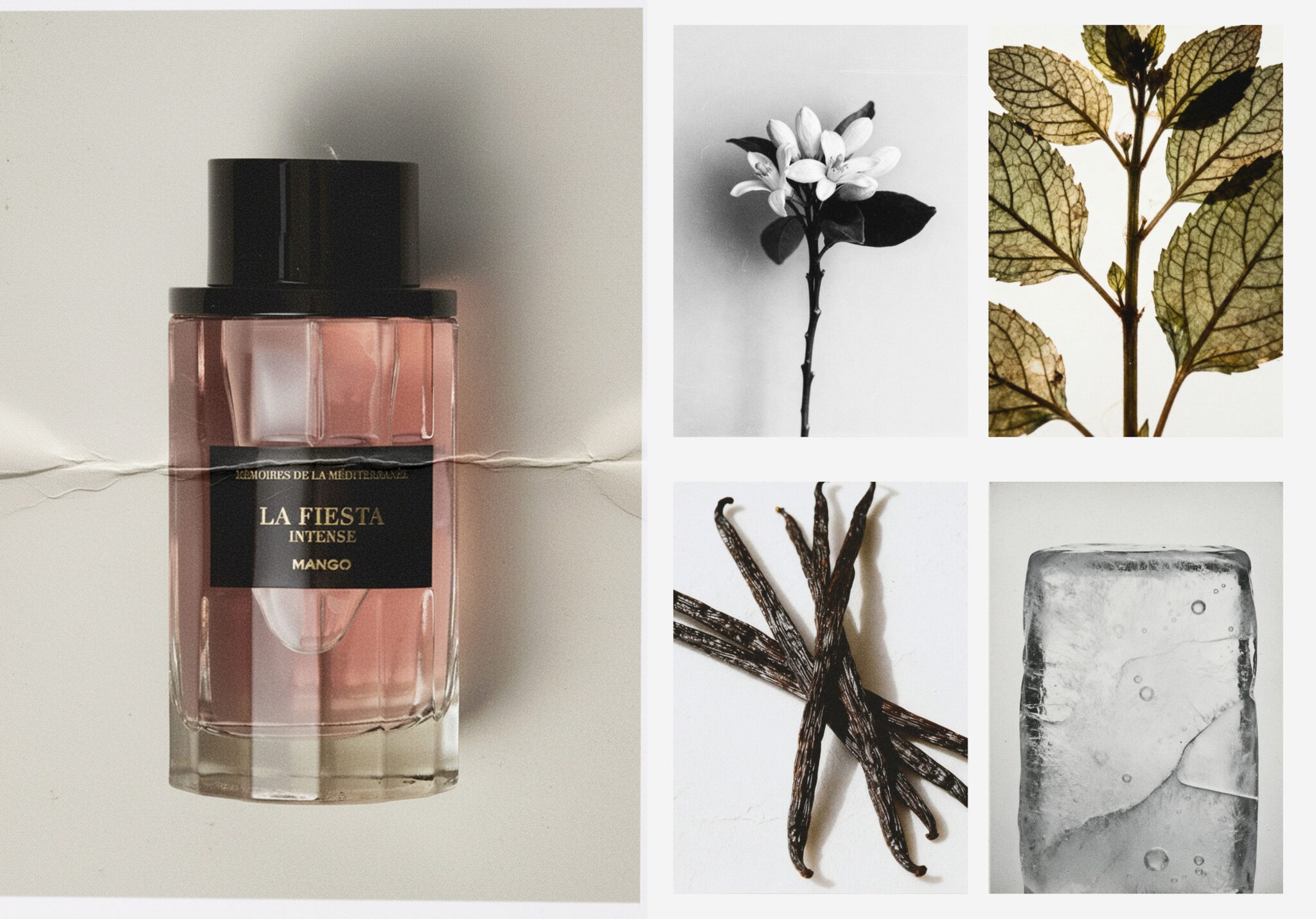 Geur La Fiesta Intense 100 ml - Panoramische tekening