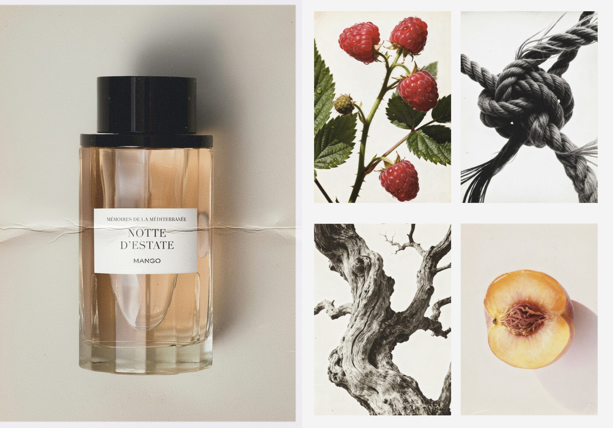 Notte d'Estate fragrance 100 ml - Panoramic plane