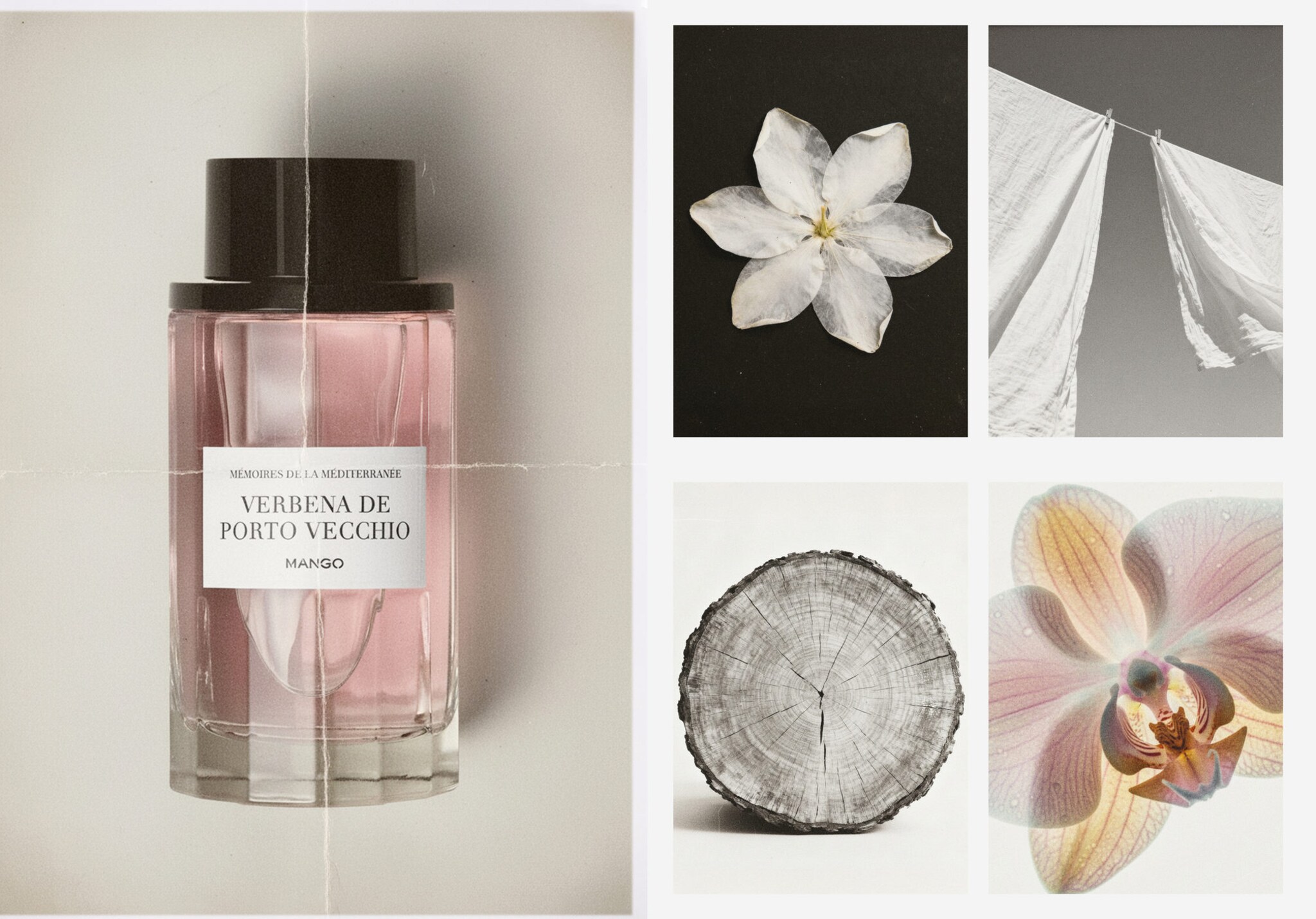 Porto Vecchio Verbena Fragrance 100ml - Panoramic plane