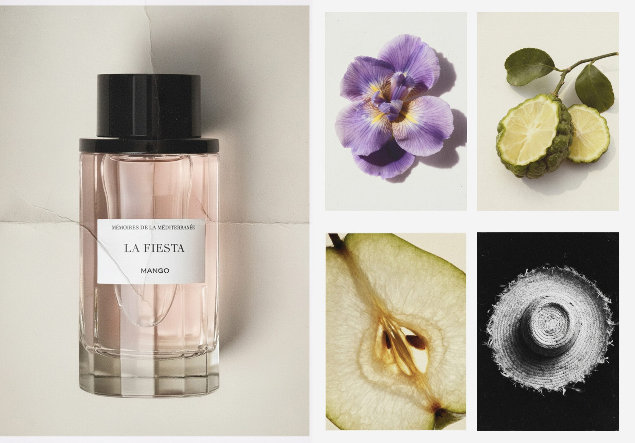 Fragrance La Fiesta 100 ml - Panoramic plane