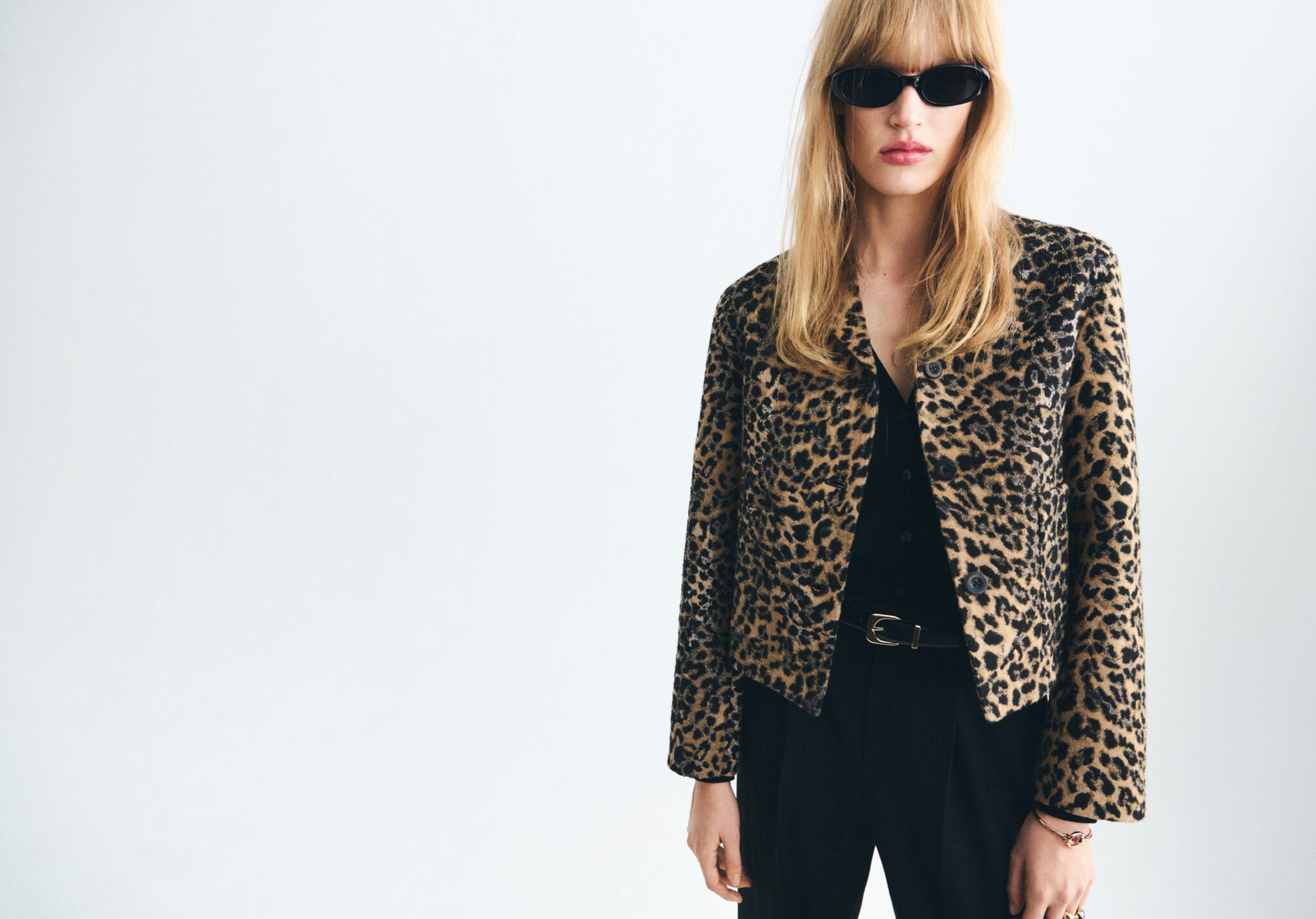Leopard-print jacket with buttons - Panoramic plane