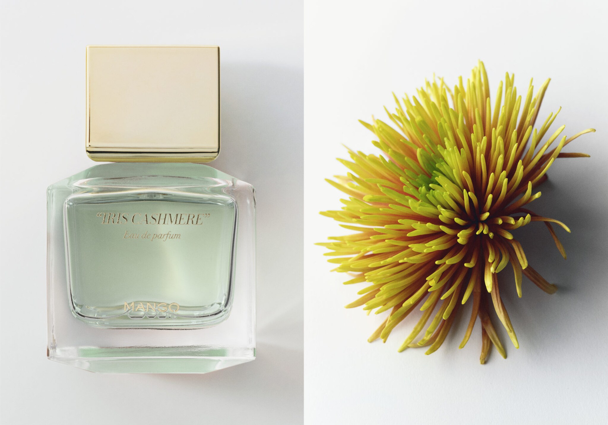 Parfum Iris Cashmere 80 ml - Plan panoramique