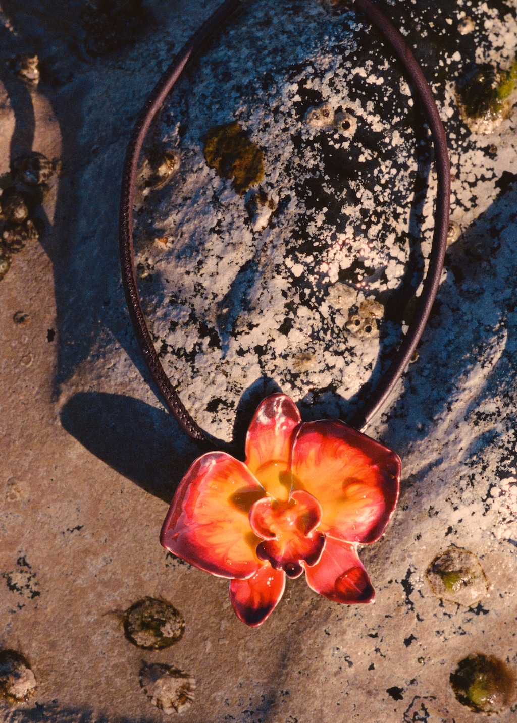 Maxi-flower stiff collar