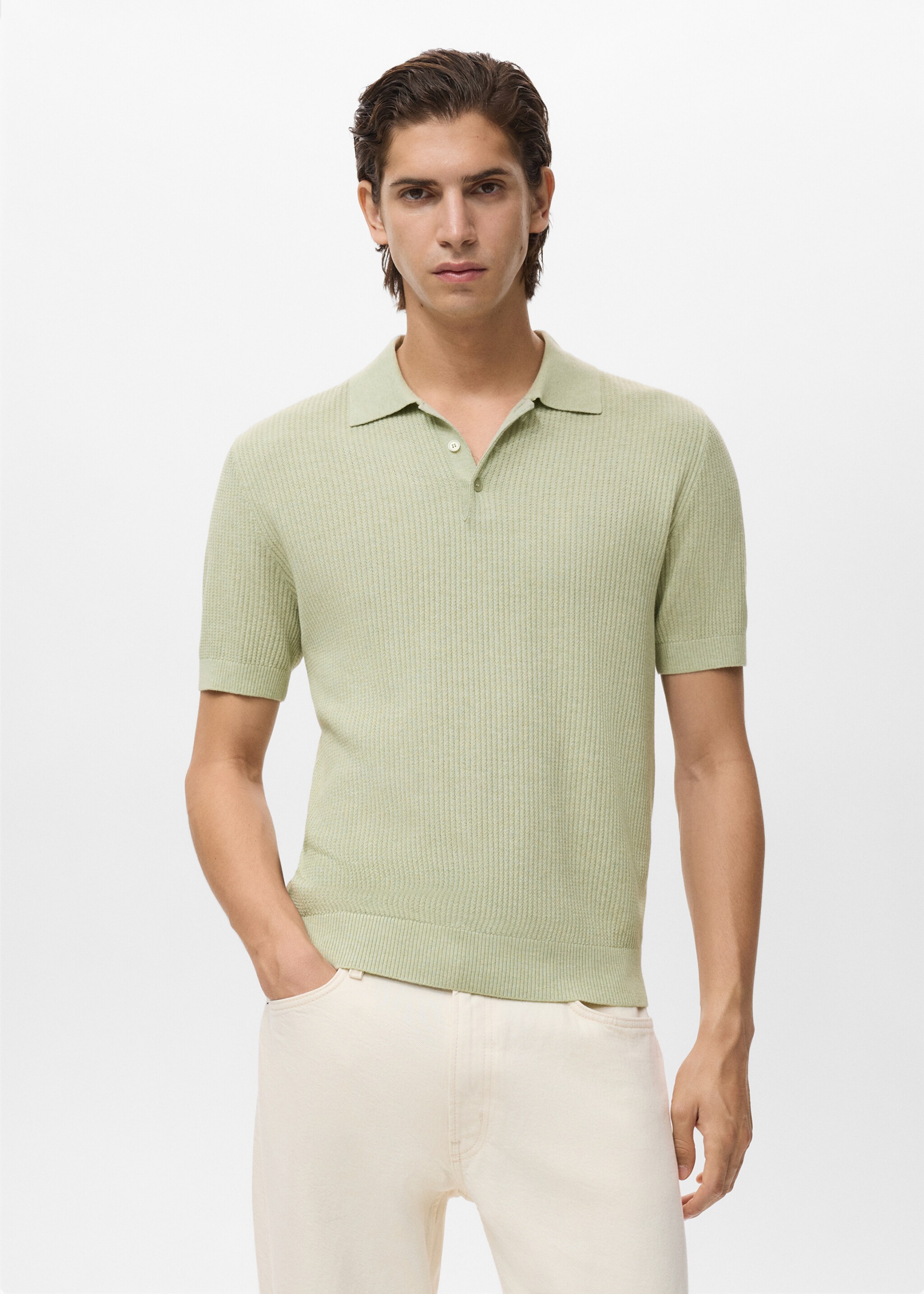 Ribbed knit polo shirt - Medium plane