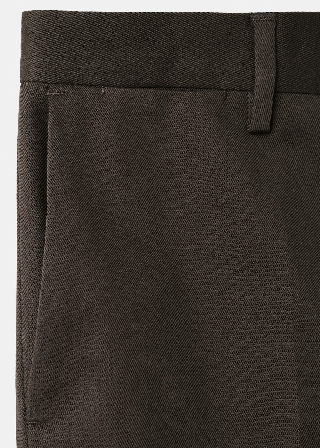 Regular fit pleated cotton pants