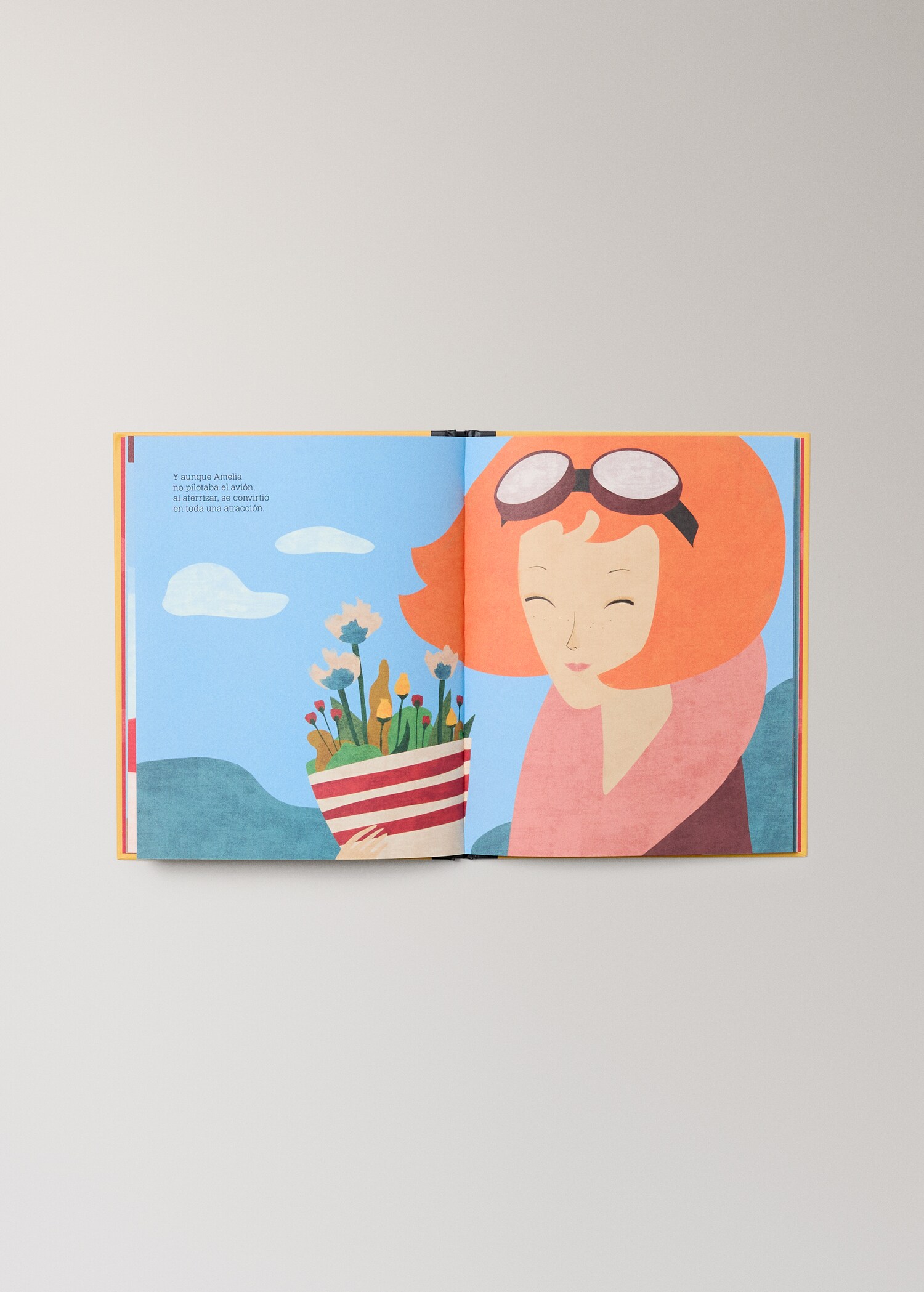 Libro infantil Amelia Earhart - Detalle del artículo 4