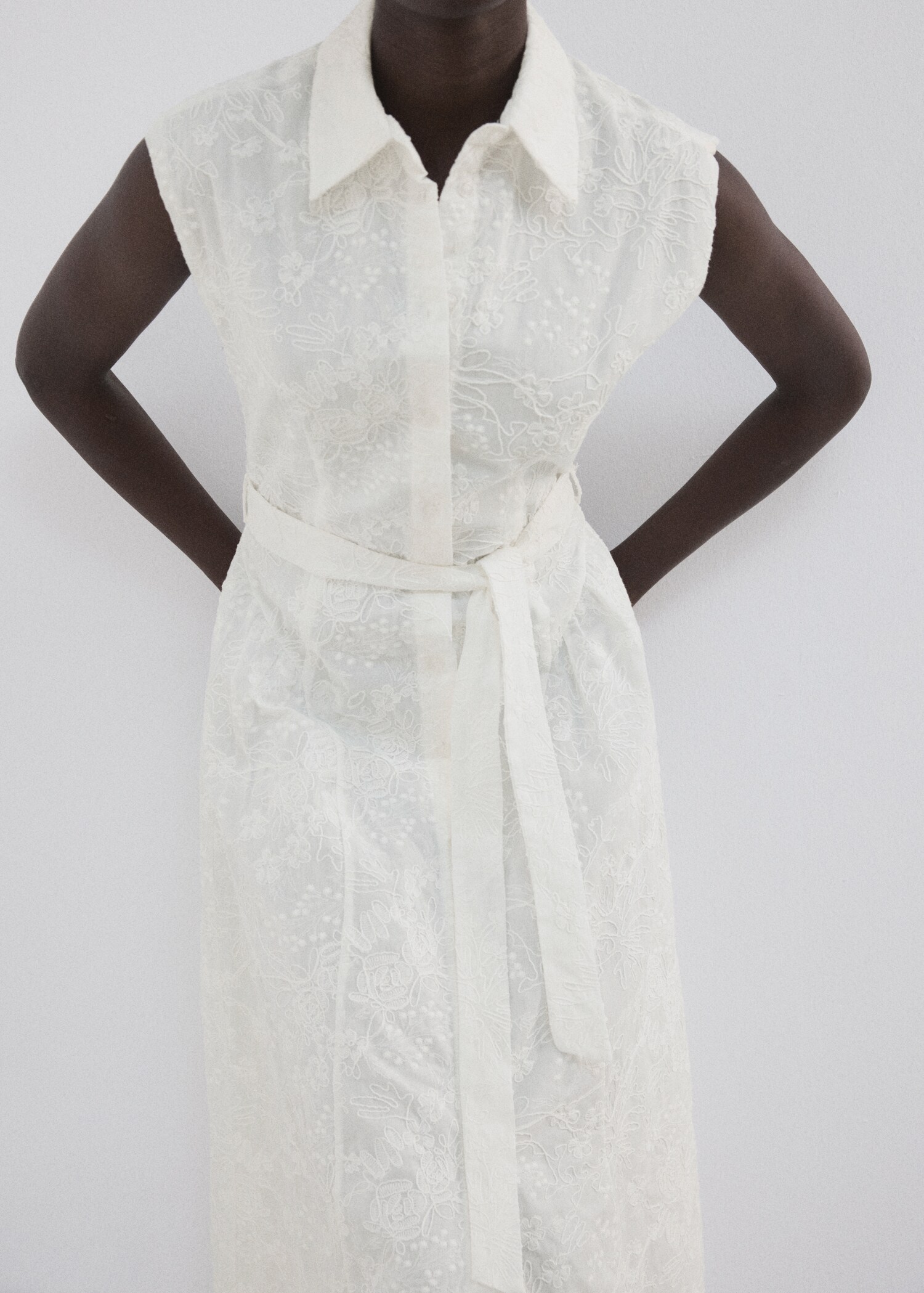 Embroidered belt dress - Medium plane