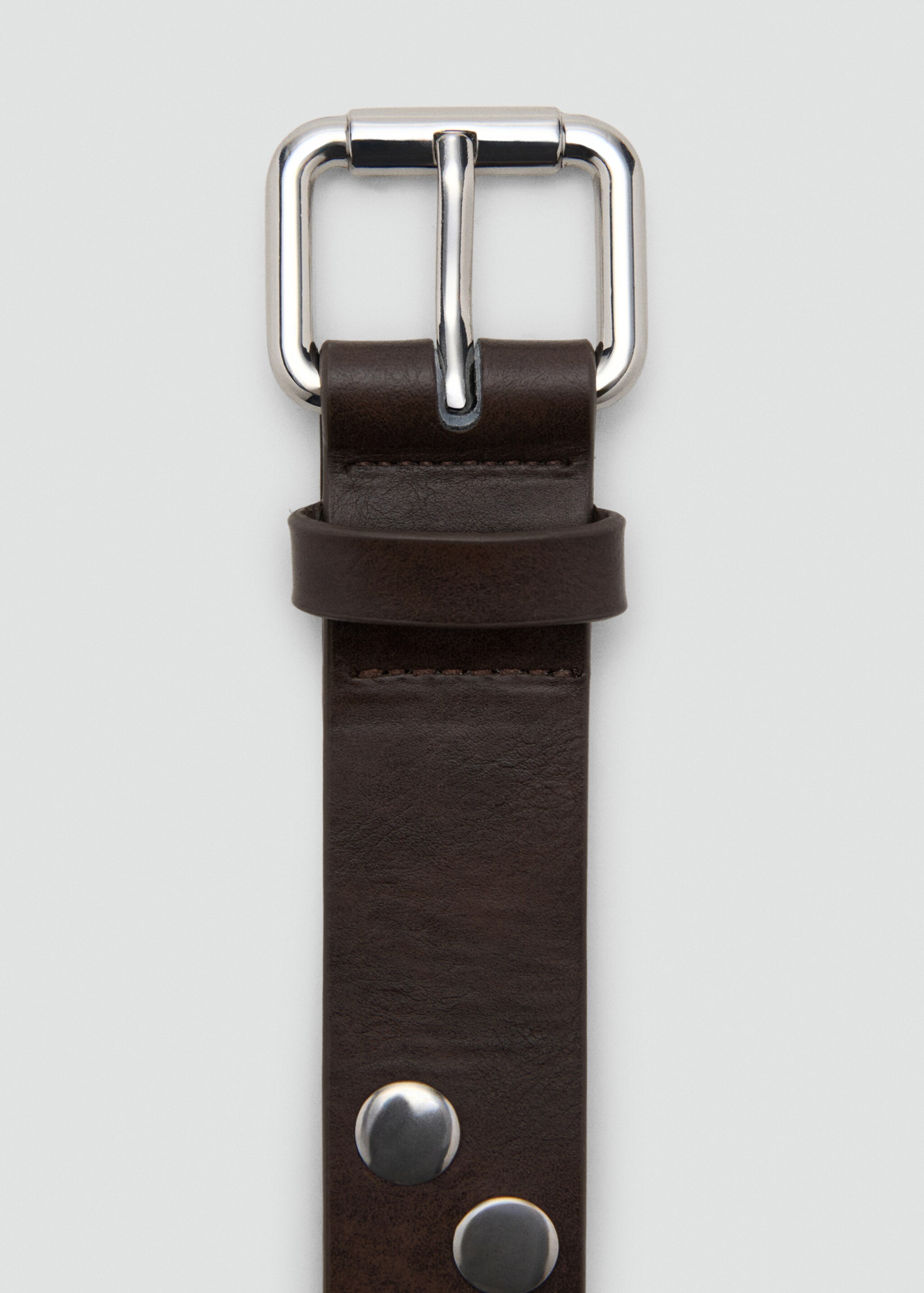 Studded belt - Details of the article 2, Chocolate. Ref: 27011213-00.