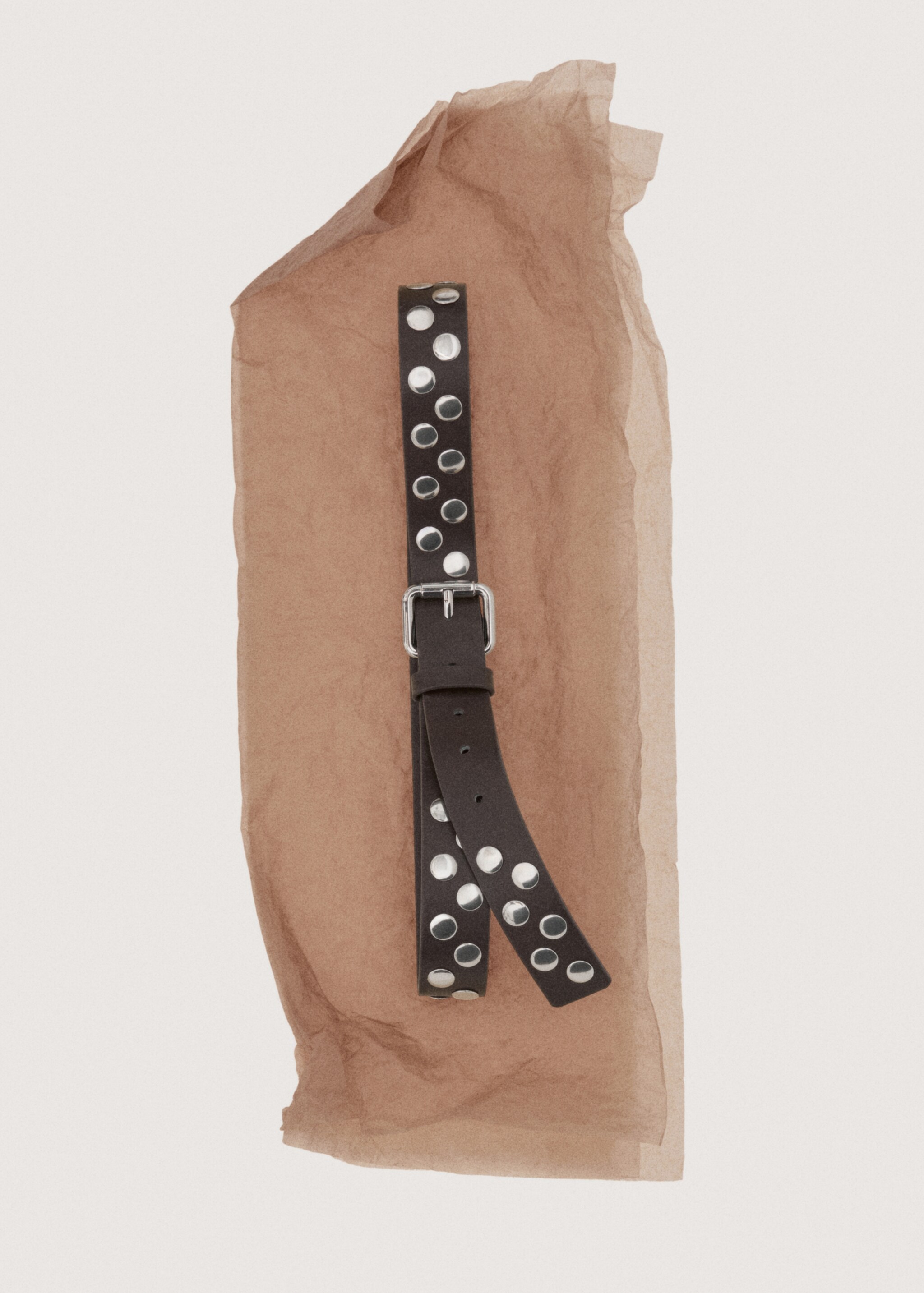 Studded belt - Details of the article 7, Chocolate. Ref: 27011213-00.