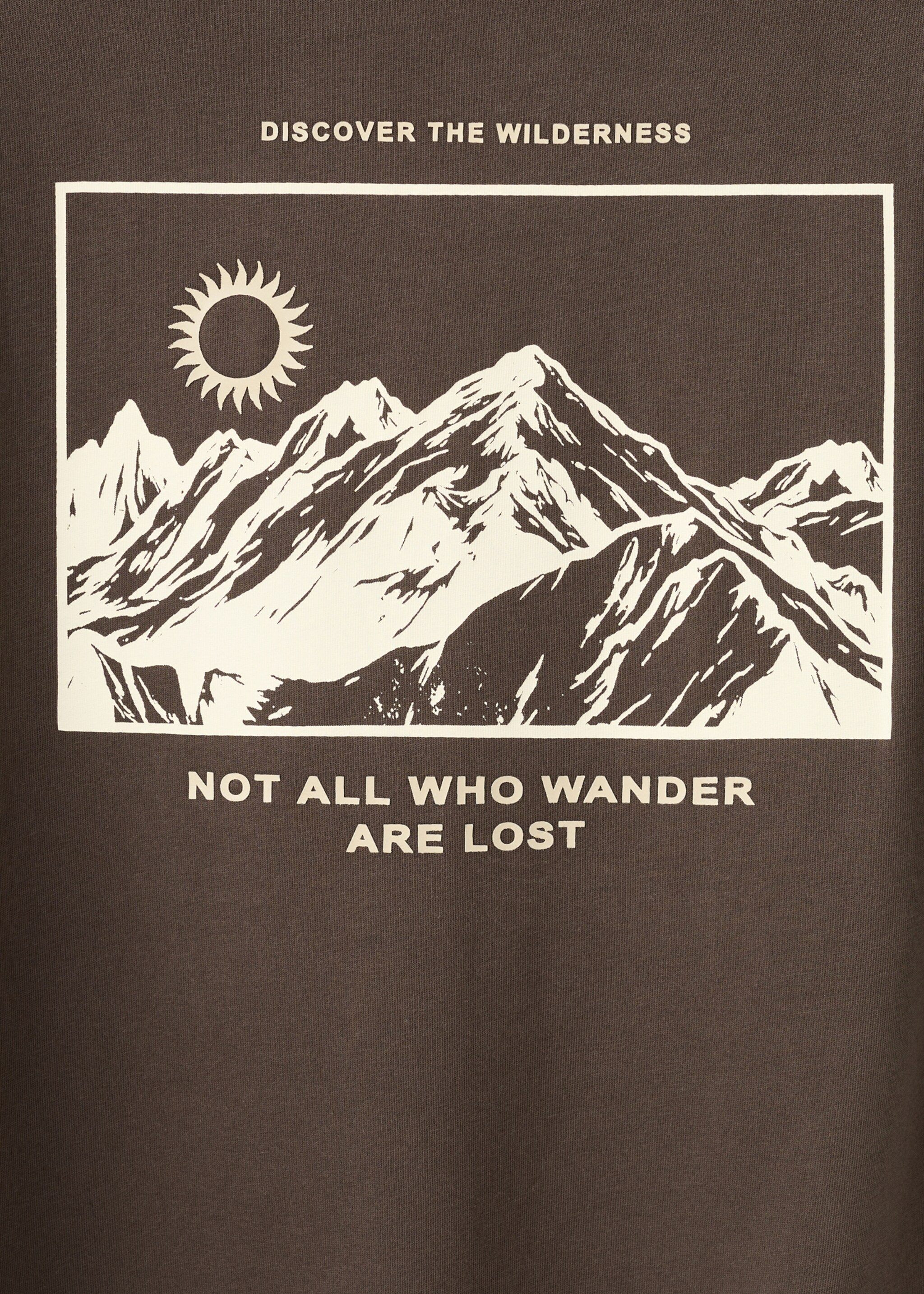 T-shirt wander - Détail de l'article 0, Marron. Ref: 27011518-00.