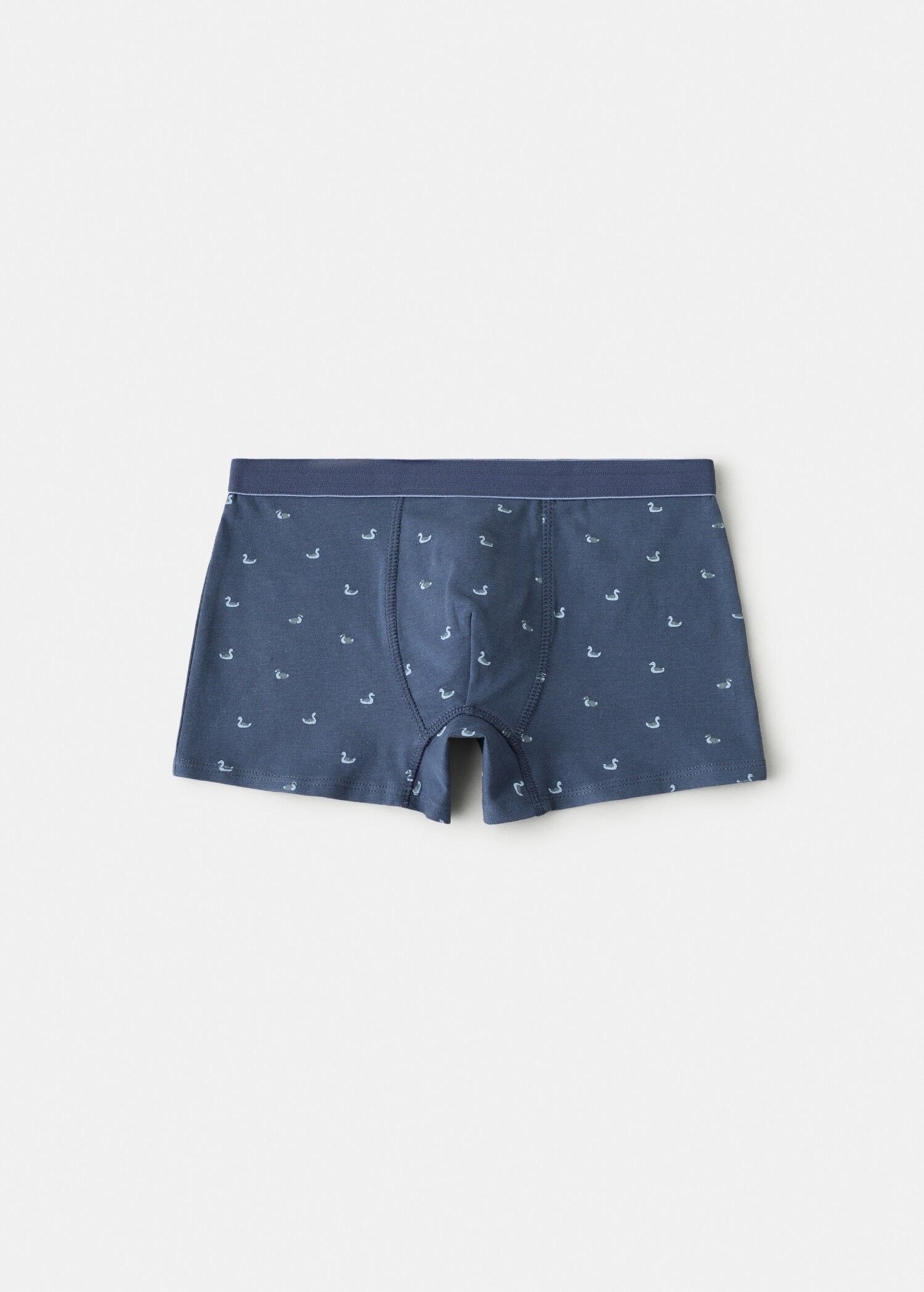 Briefs lago - Reverse of the article