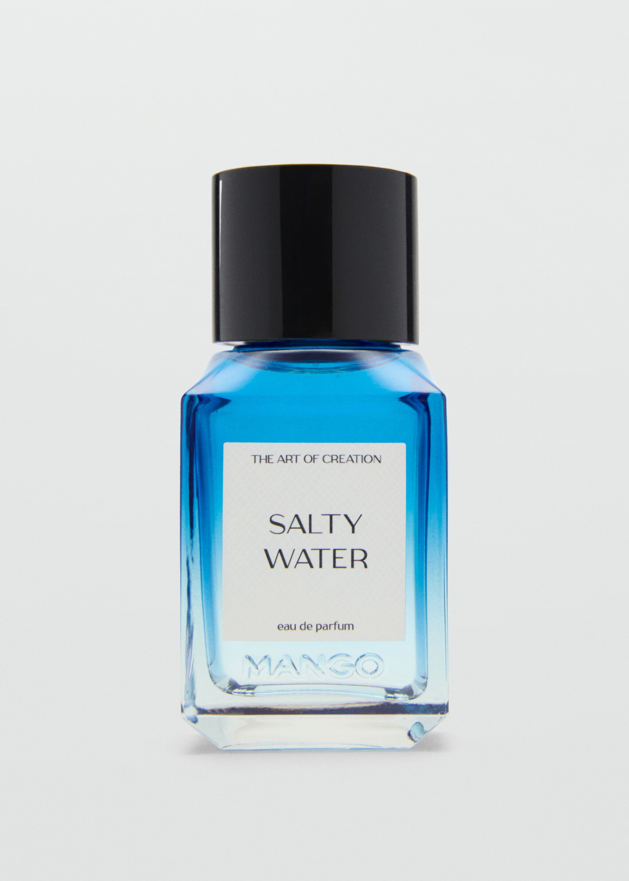 Salty Water Fragrance 100ml - Article without model, Mink Grey. Ref: 27021253-00.