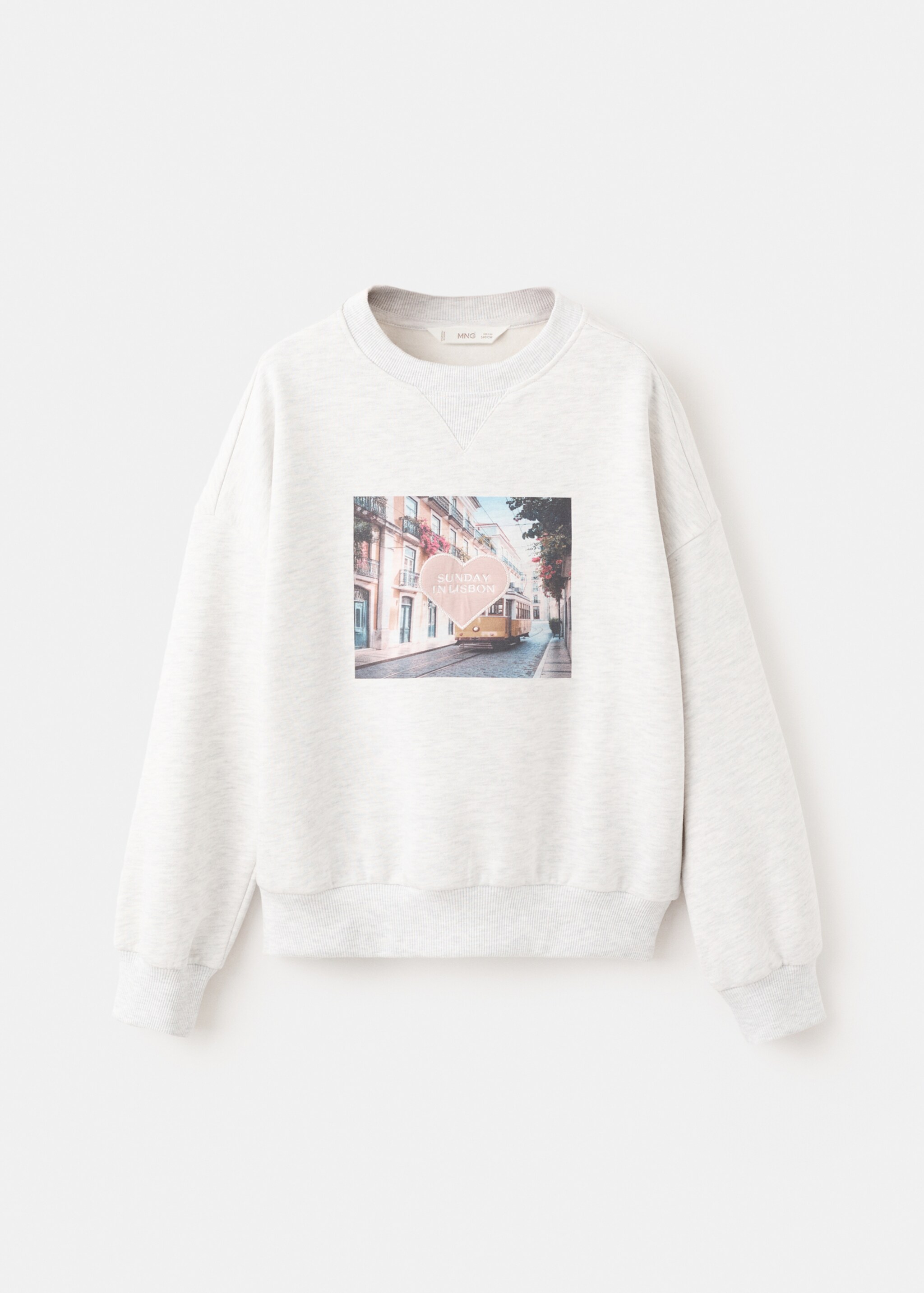Printed embroidered sweatshirt - Article without model, Light Heather Grey. Ref: 27023719-00.