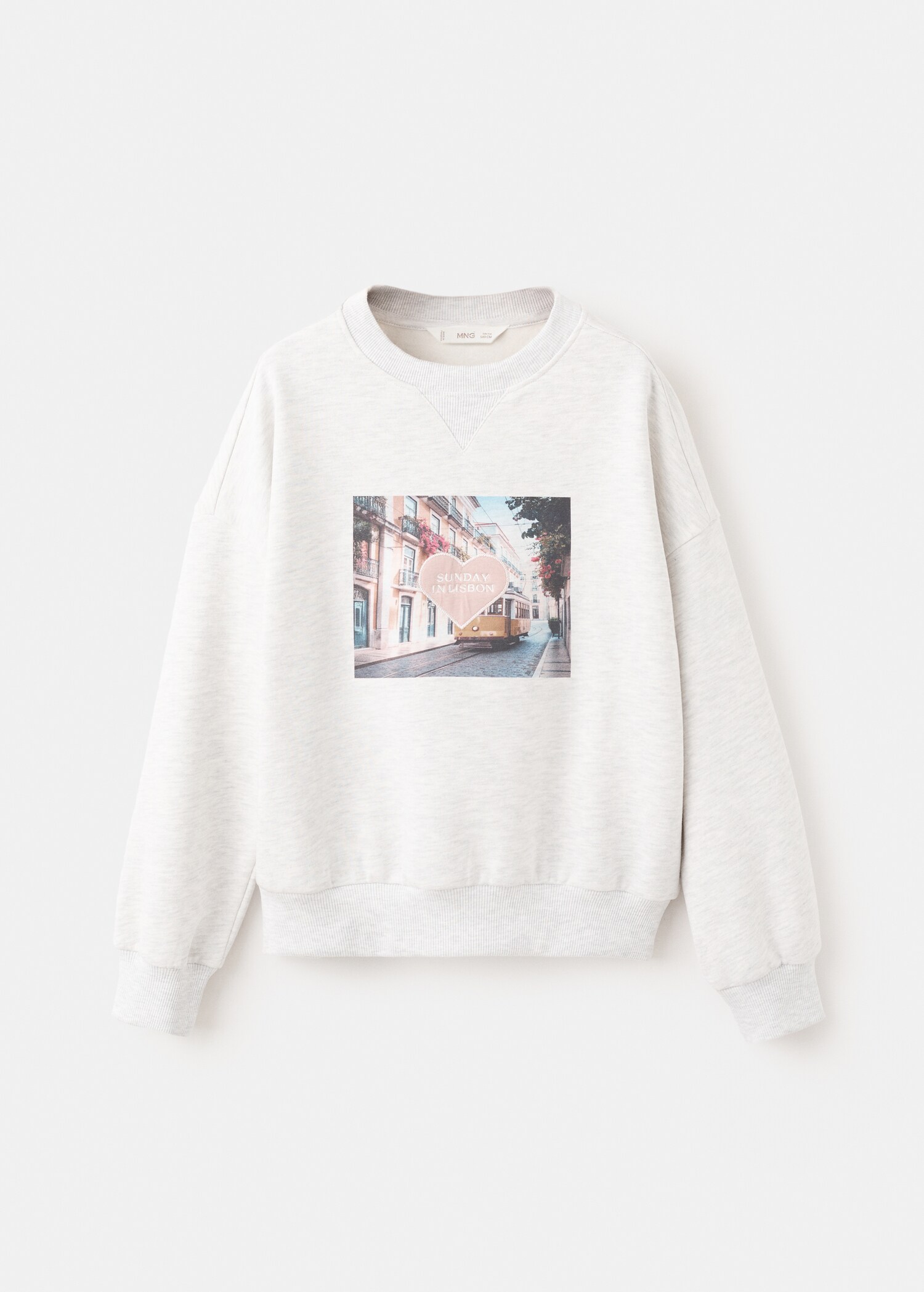 Printed embroidered sweatshirt - Article without model
