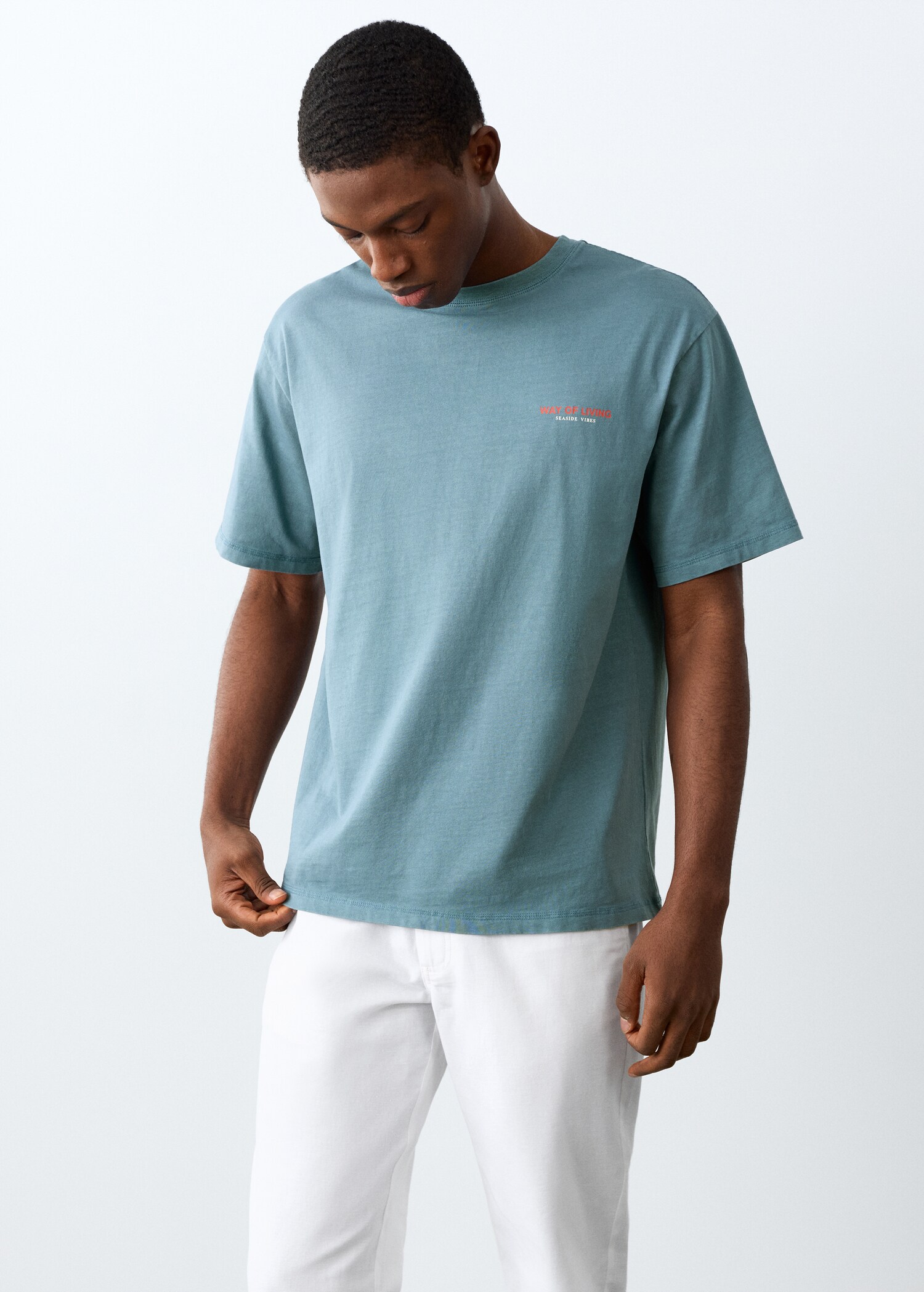 Short-sleeved printed t-shirt - Medium plane